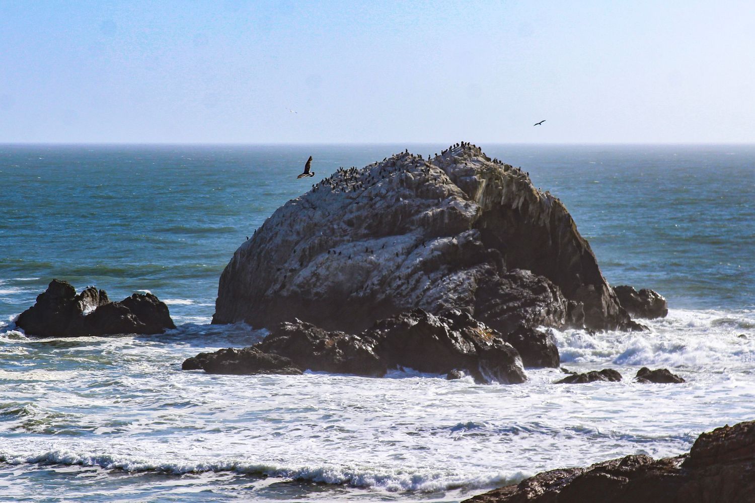 Seabirds perch on a rugged coastal rock formation surrounded by crashing ocean waves under a clear sky.