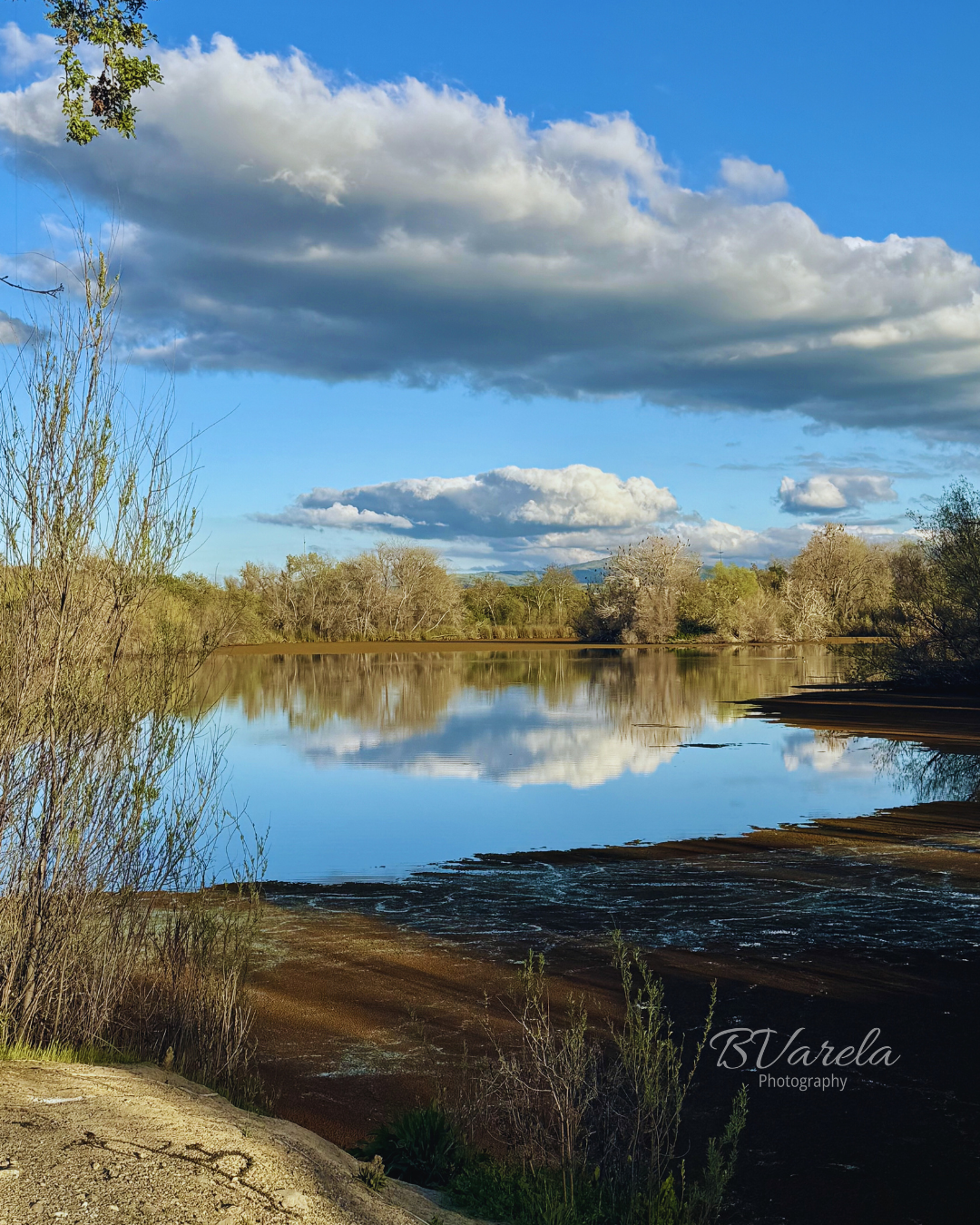 Calm river reflecting blue sky and white clouds surrounded by trees. Shadow cliffs, pleasanton, photographer
