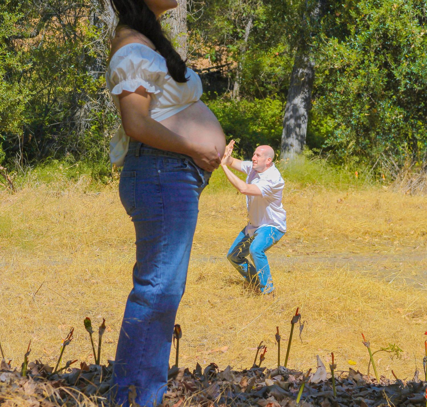 Pregnant woman in jeans poses outdoors while man reaches toward her baby bump in a sunny field.