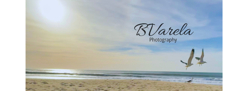 BVarela Photography logo over a serene beach scene with seagulls flying above ocean waves. pescadero, photographer