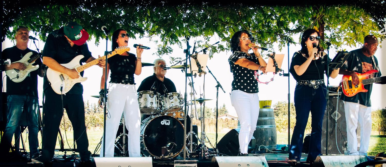A live band performs outdoors under trees, featuring guitarists, drummers, and vocalists on stage in white and black outfits.