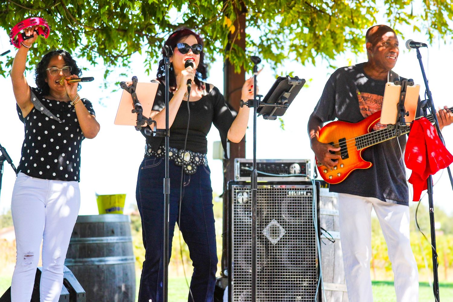 Three musicians performing outdoors, two female vocalists and male bassist, at sunny outdoor concert.