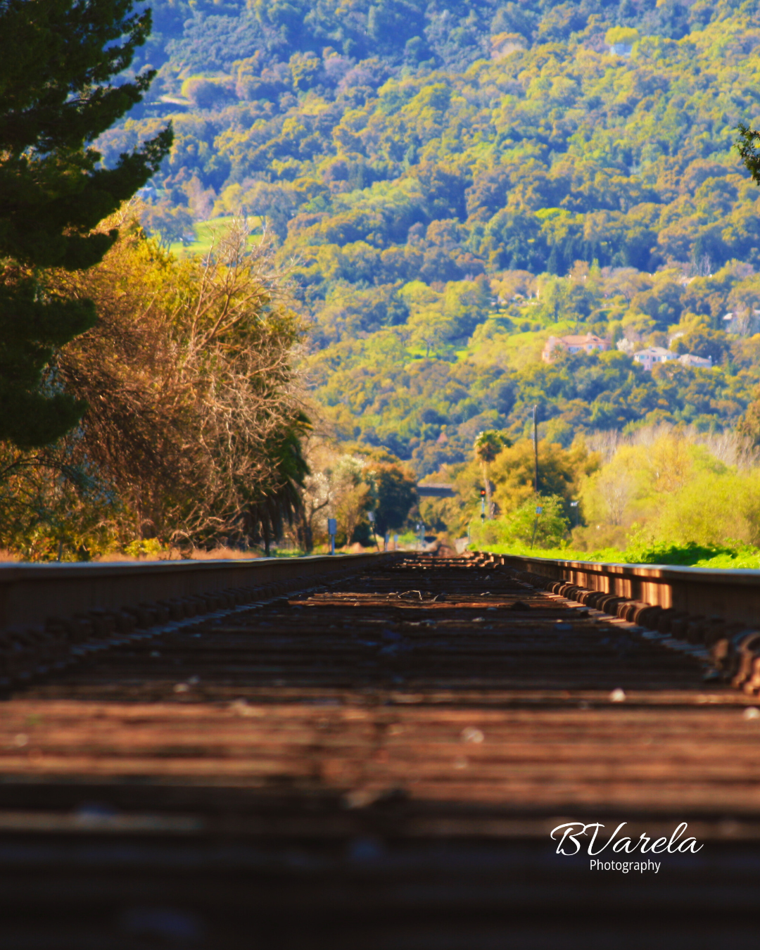 Low-angle view of rustic railroad tracks leading into a lush green forested mountain landscape. pleasanton , photographer