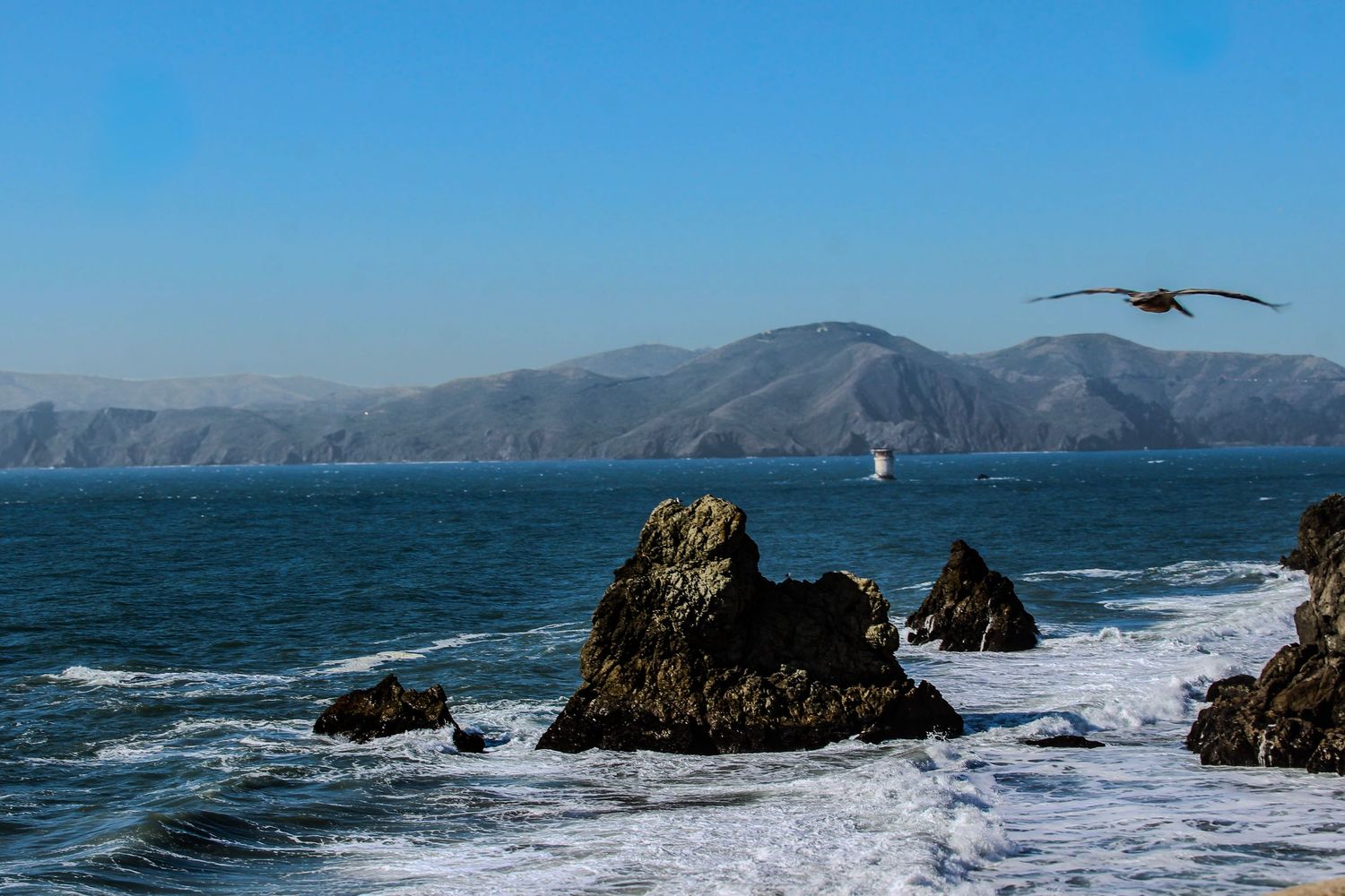 A pelican soars over rocky coastal waters with crashing waves and misty mountain cliffs in the background.