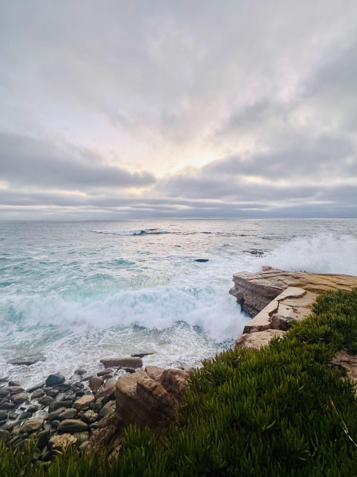 Waves crash against rocky coastal cliffs under a dramatic cloudy sky at sunset, with lush green shrubs in the foreground.