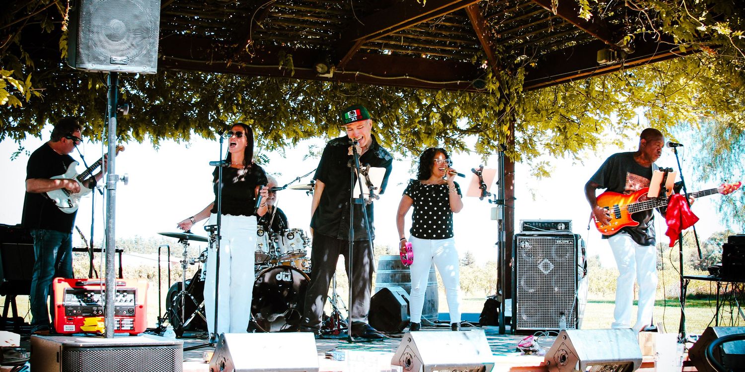 Live band performing on outdoor stage under tree canopy at a sunny event, featuring guitarist, vocalist, and keyboardist.