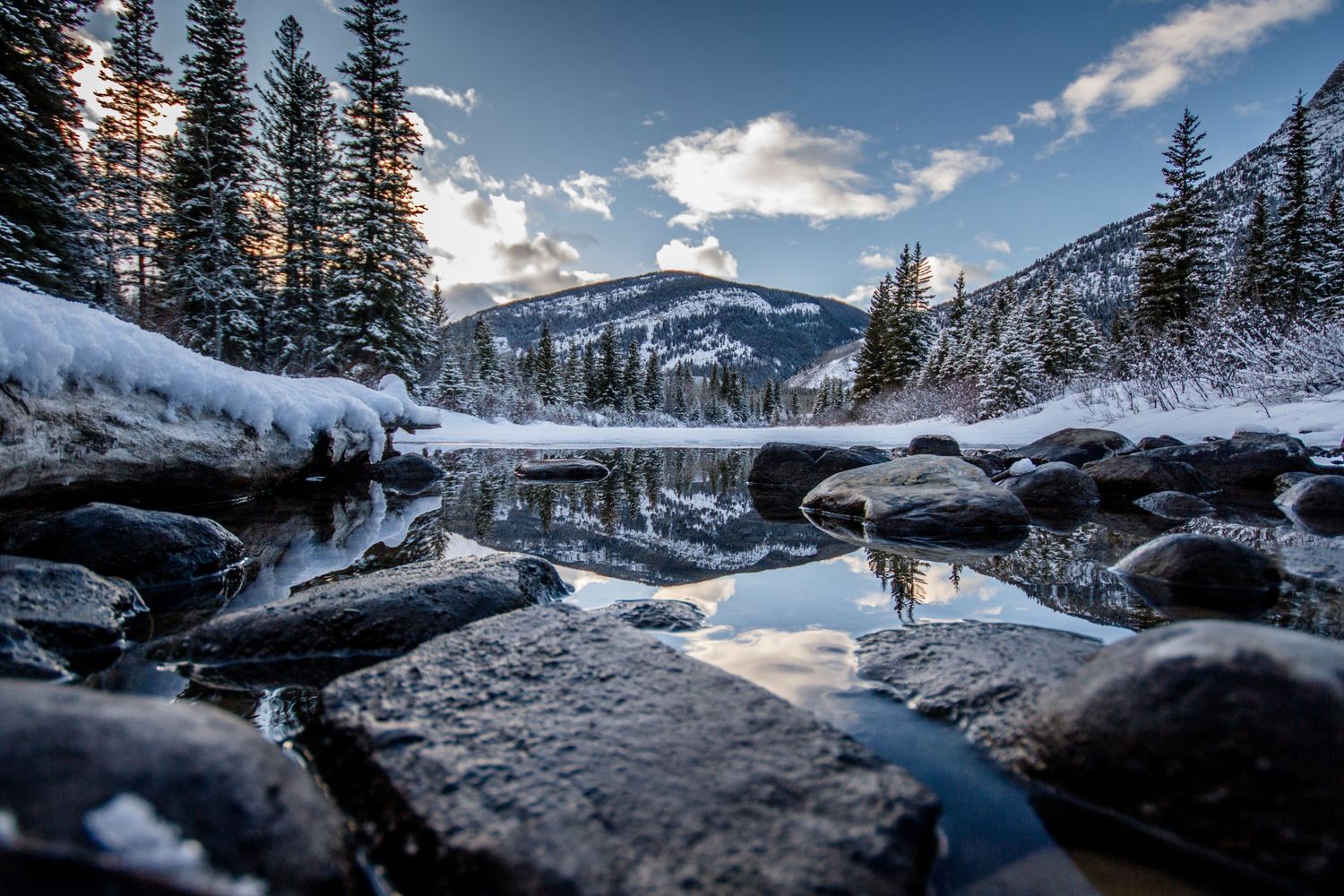 Photographed by Cochrane Photographer Tim Hall, Cochrane, Alberta