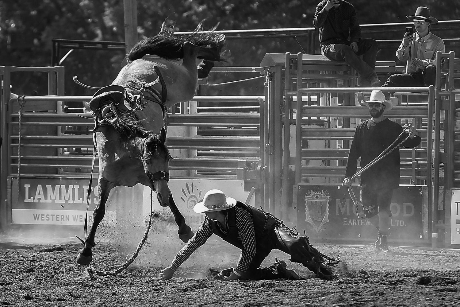 Photographed by Cochrane Photographer Tim Hall, Cochrane, Alberta