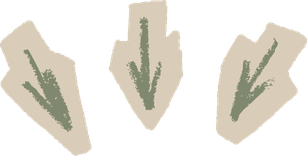 Three beige paper cutouts featuring simple green cactus illustrations arranged in a row.