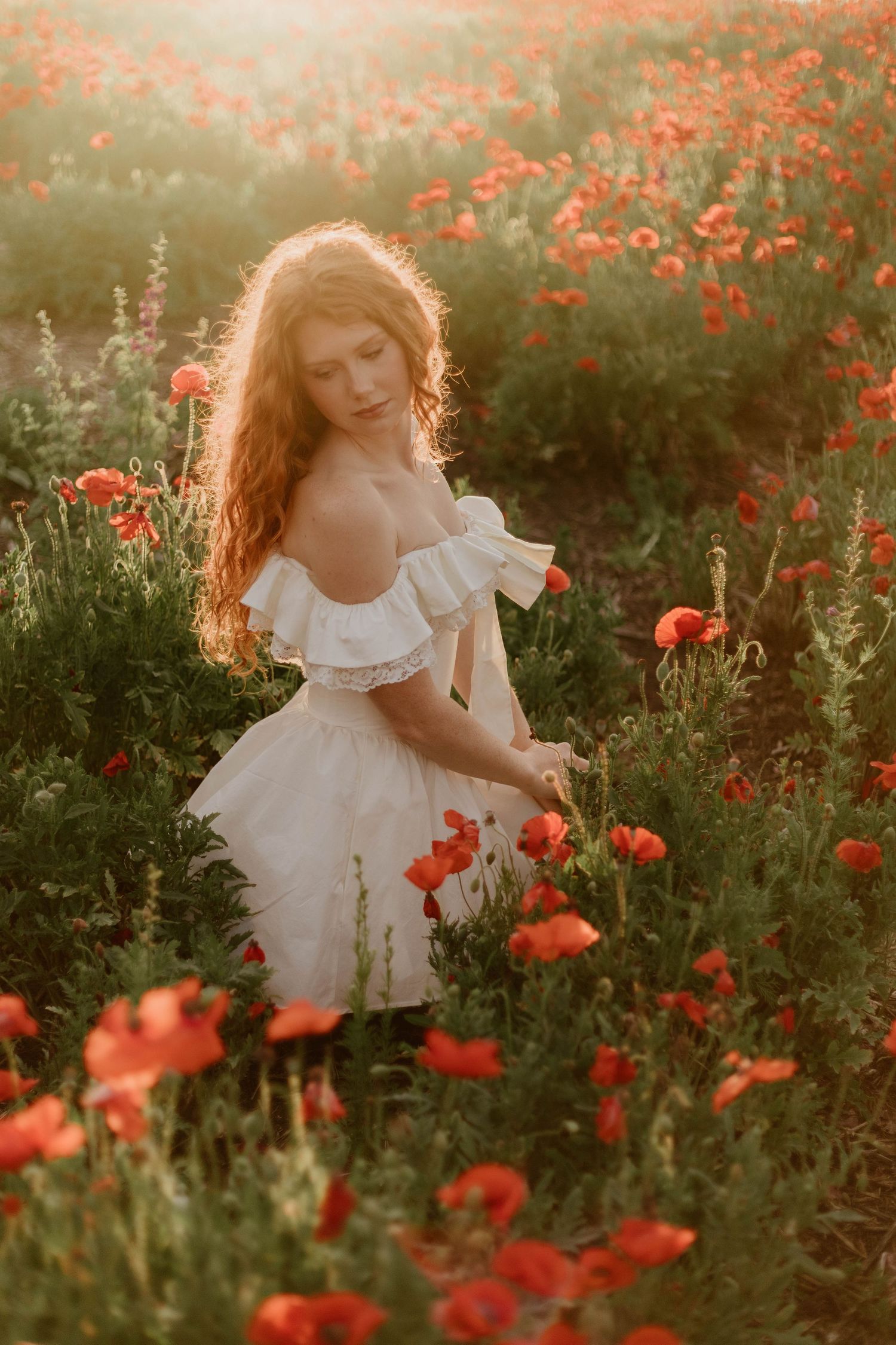 M.L. Arthur Photography