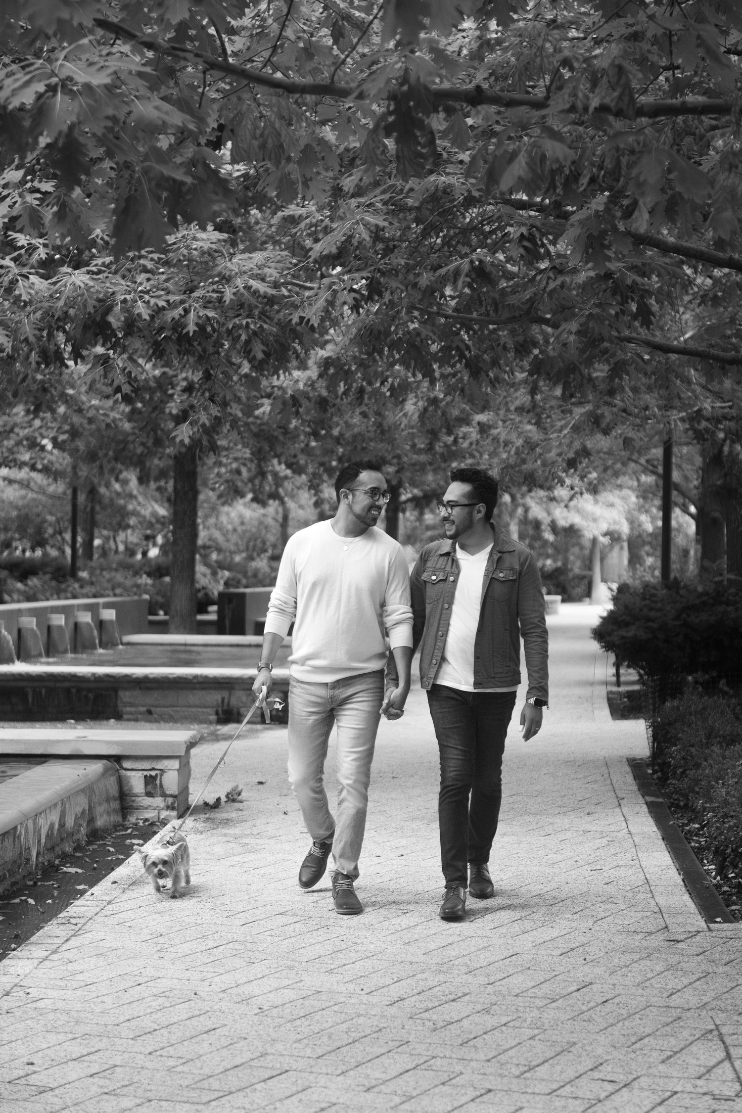 A couple walks their Yorkshire Terrier through a city park surrounded by trees.