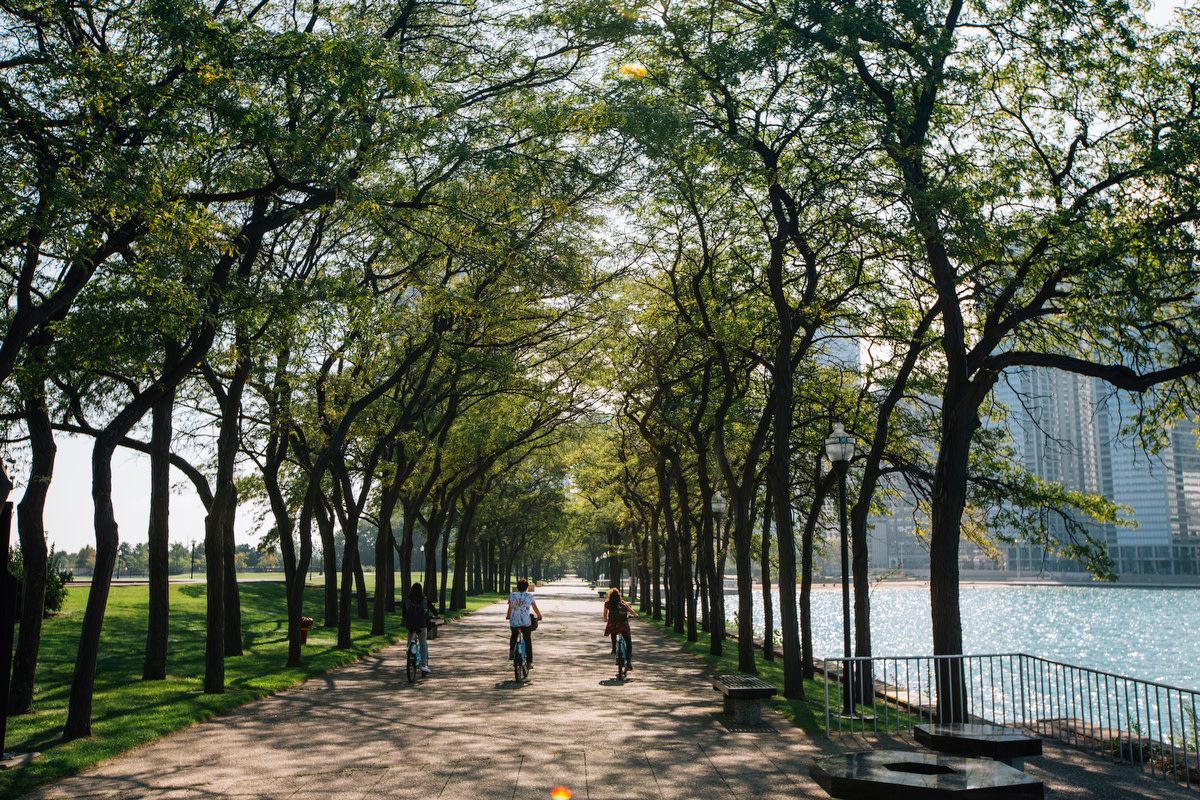 Cyclists ride through a tree-lined corridor, with a blue lake peeking through the trees, at Chicago's Milton Lee Olive Park.