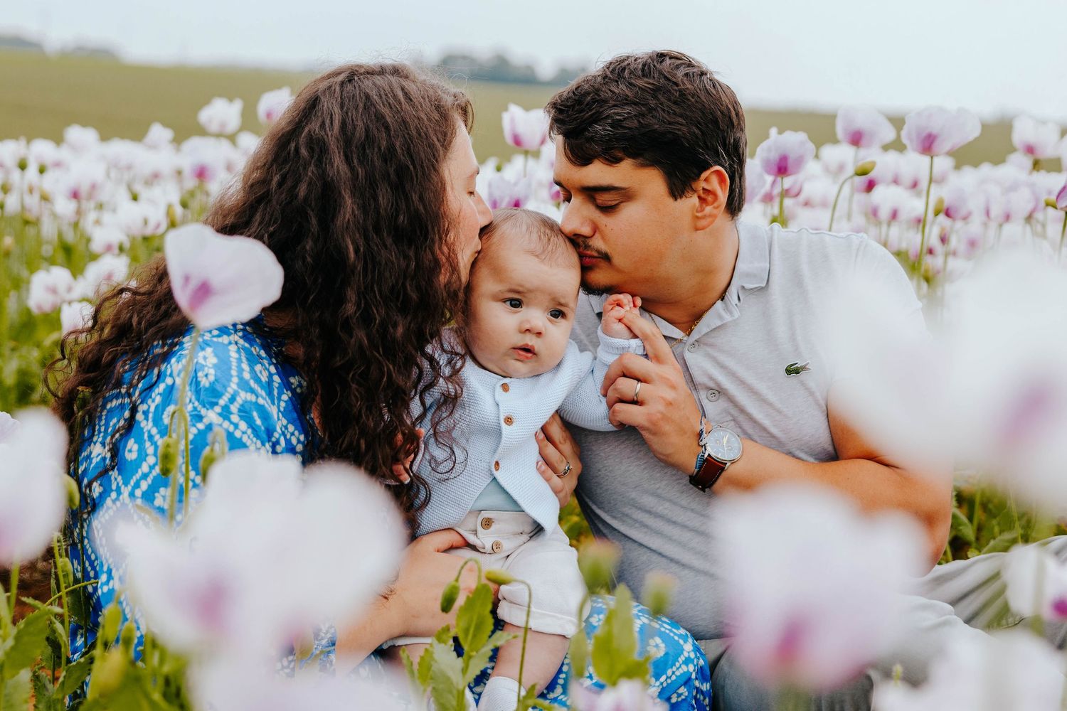 Loving family with baby sitting together in a blooming poppy flower field kissing child.