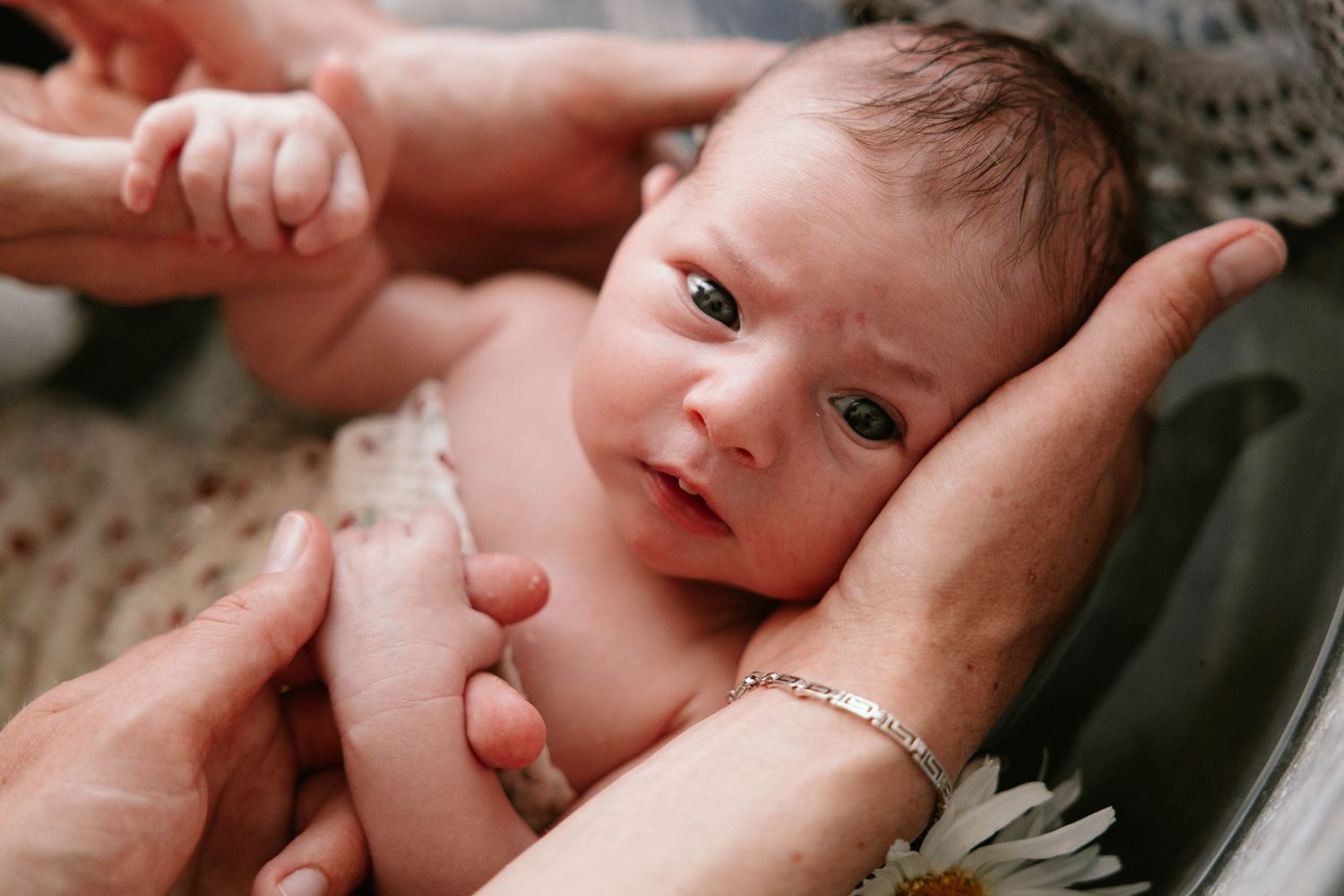 Newborn baby with open eyes is cradled in adult hands beside a white daisy flower.