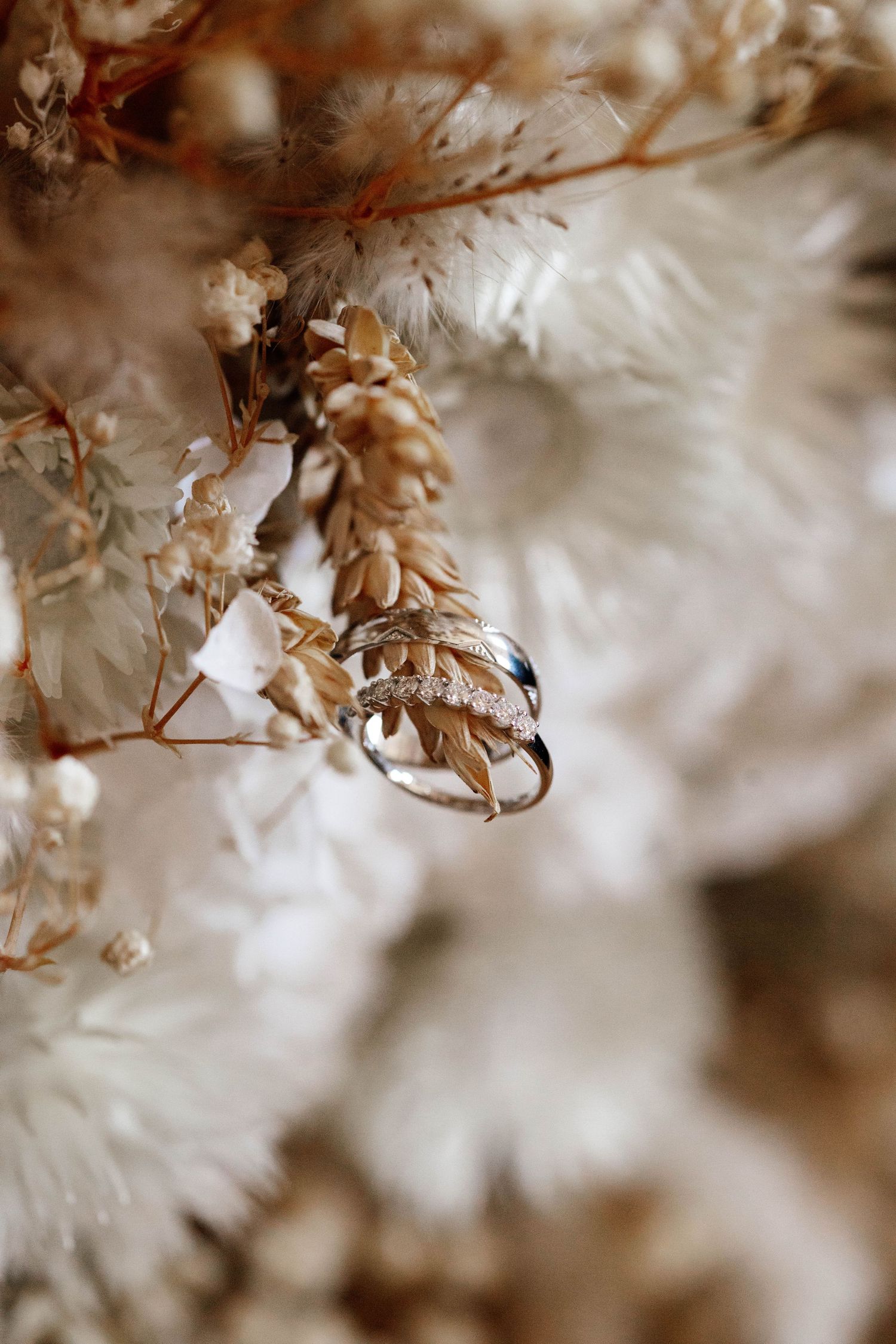 Gold leaf wedding rings with diamonds nestled in dried white flowers and botanical elements.