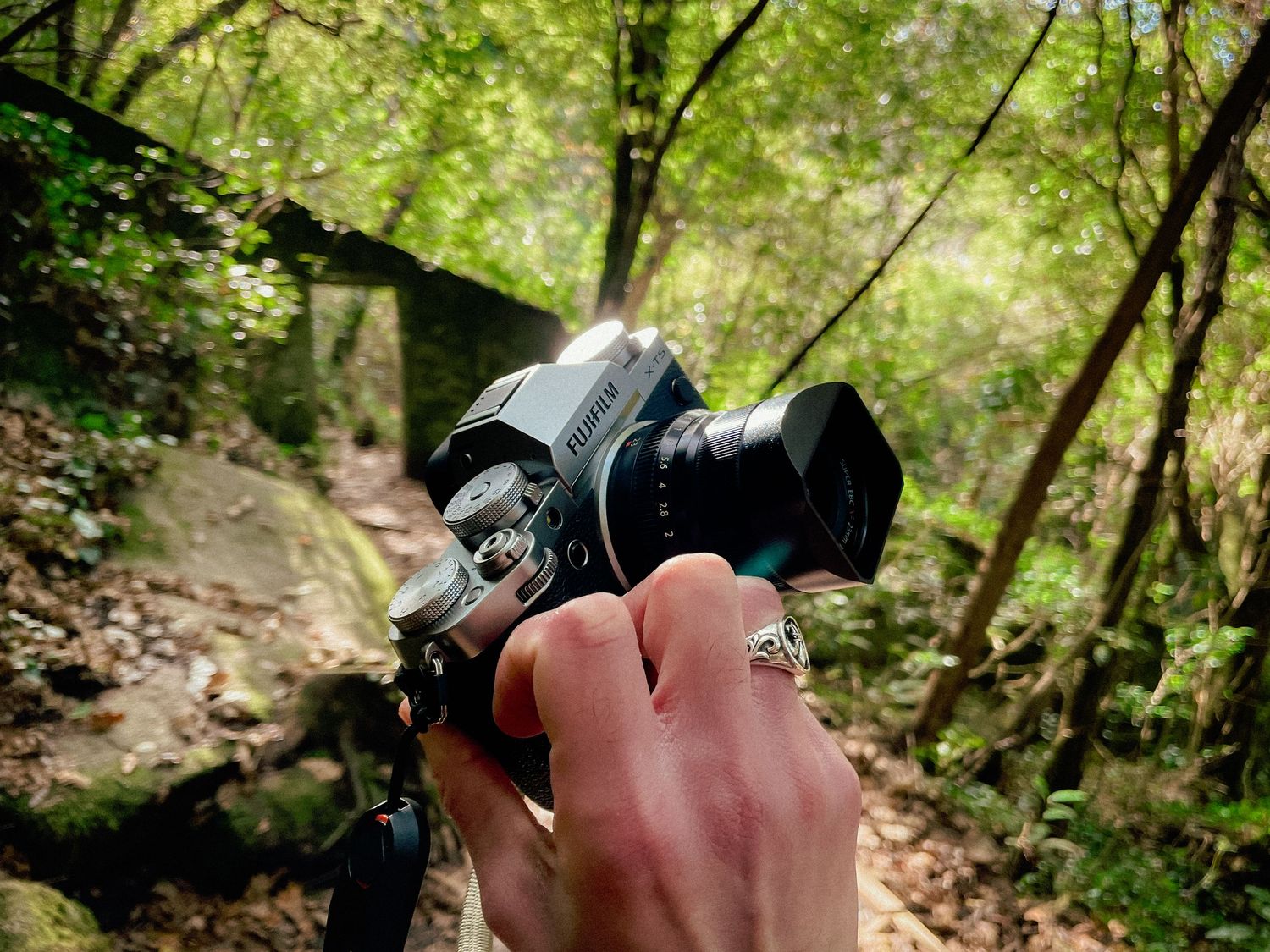 Someone holds a professional camera with wide angle lens while hiking on a forest trail in natural surroundings.