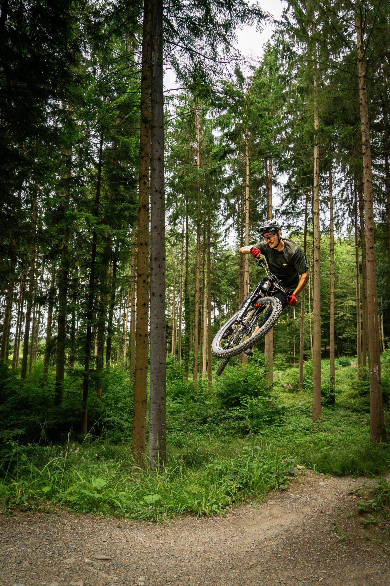 Mountain biker performs high jump on forest trail between tall pine trees.