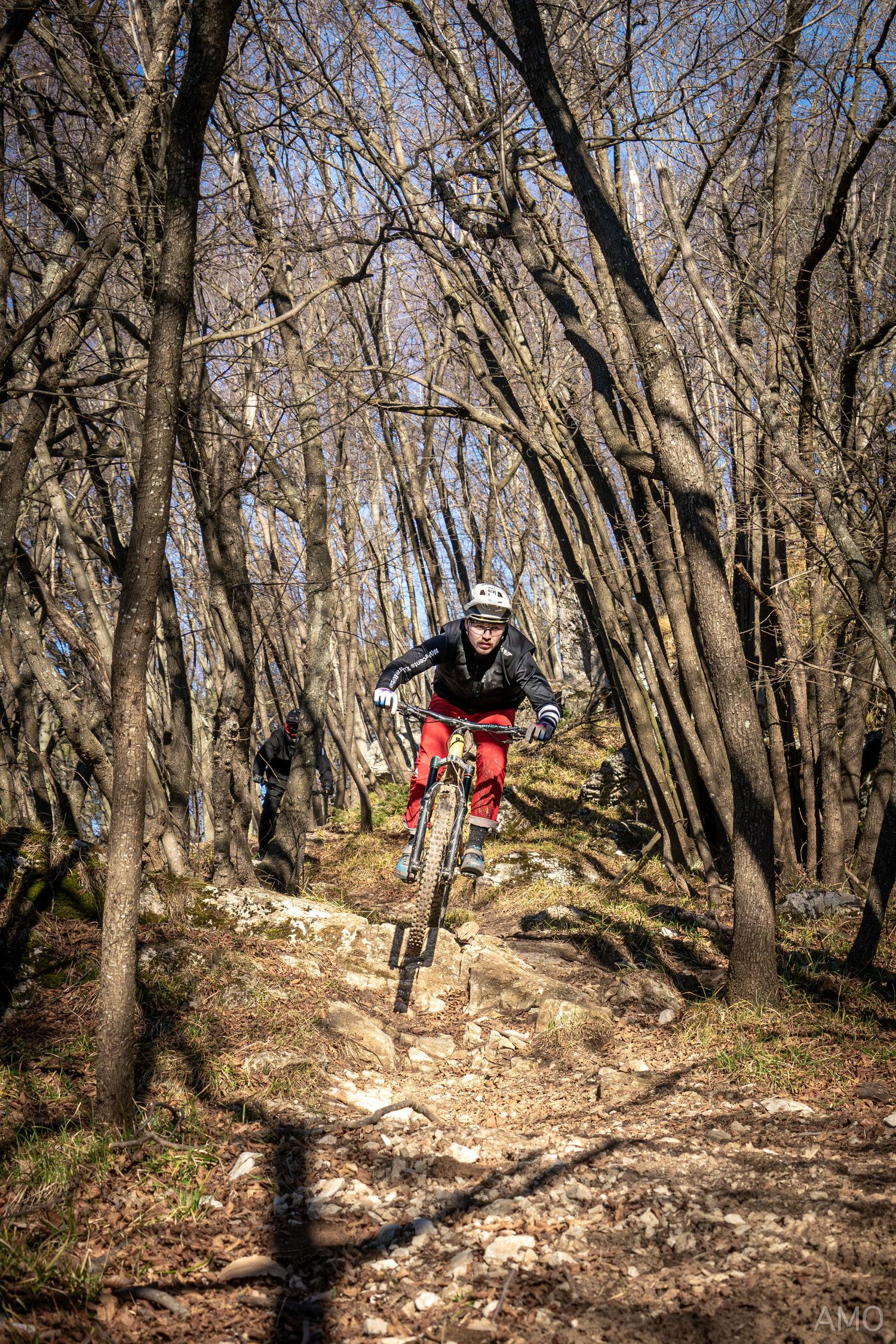 Mountain biker catching air while descending through a bare winter forest.