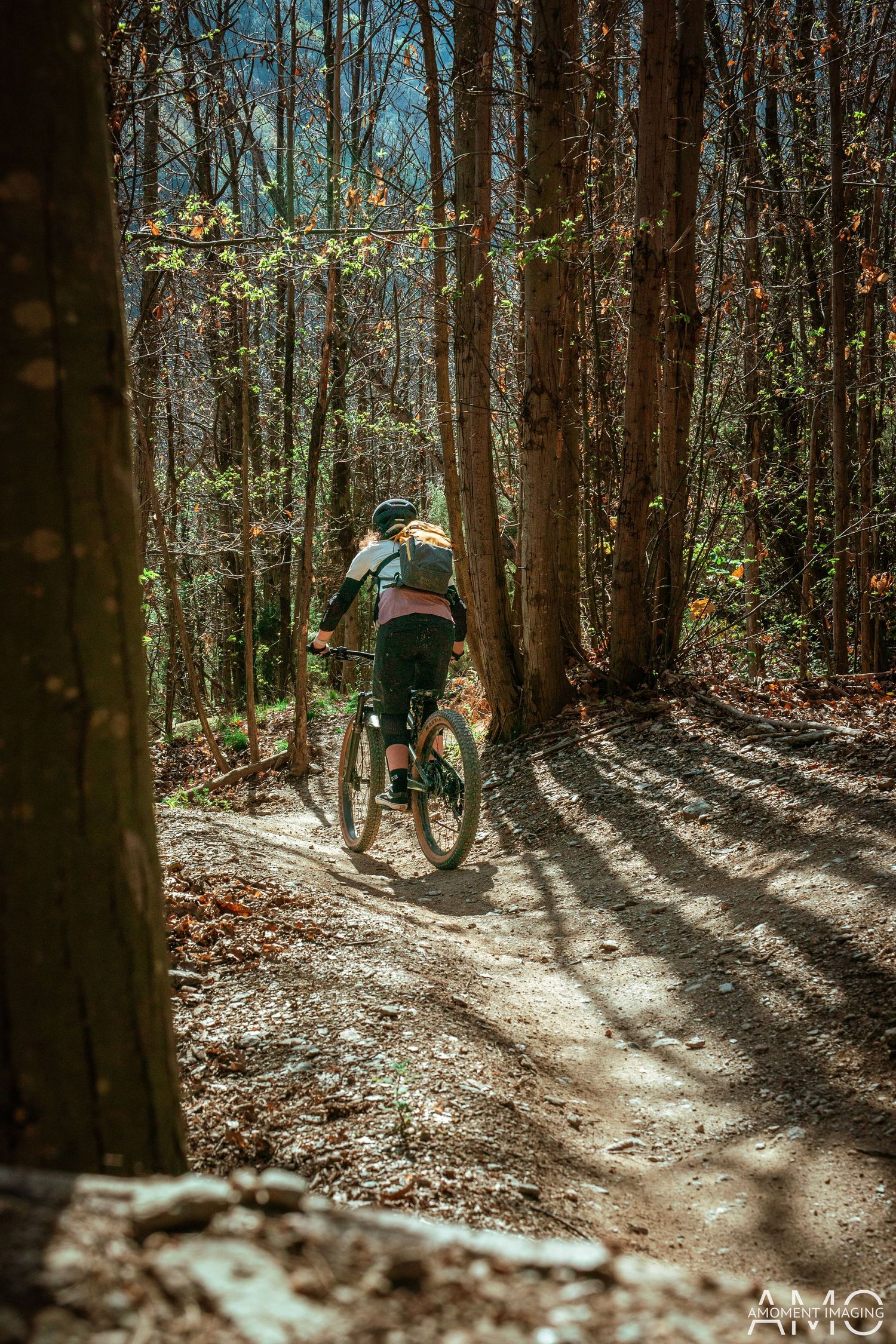 Mountain biker rides through a sunlit forest trail surrounded by tall trees.
