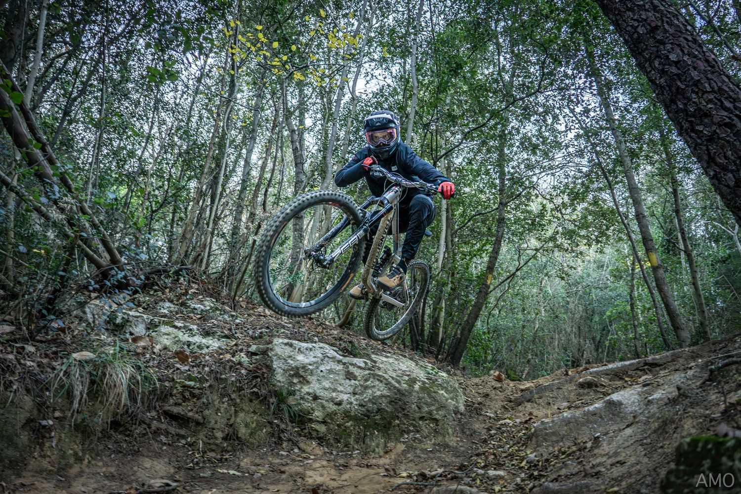 Mountain biker jumps off a rocky ledge on a challenging forest trail.
