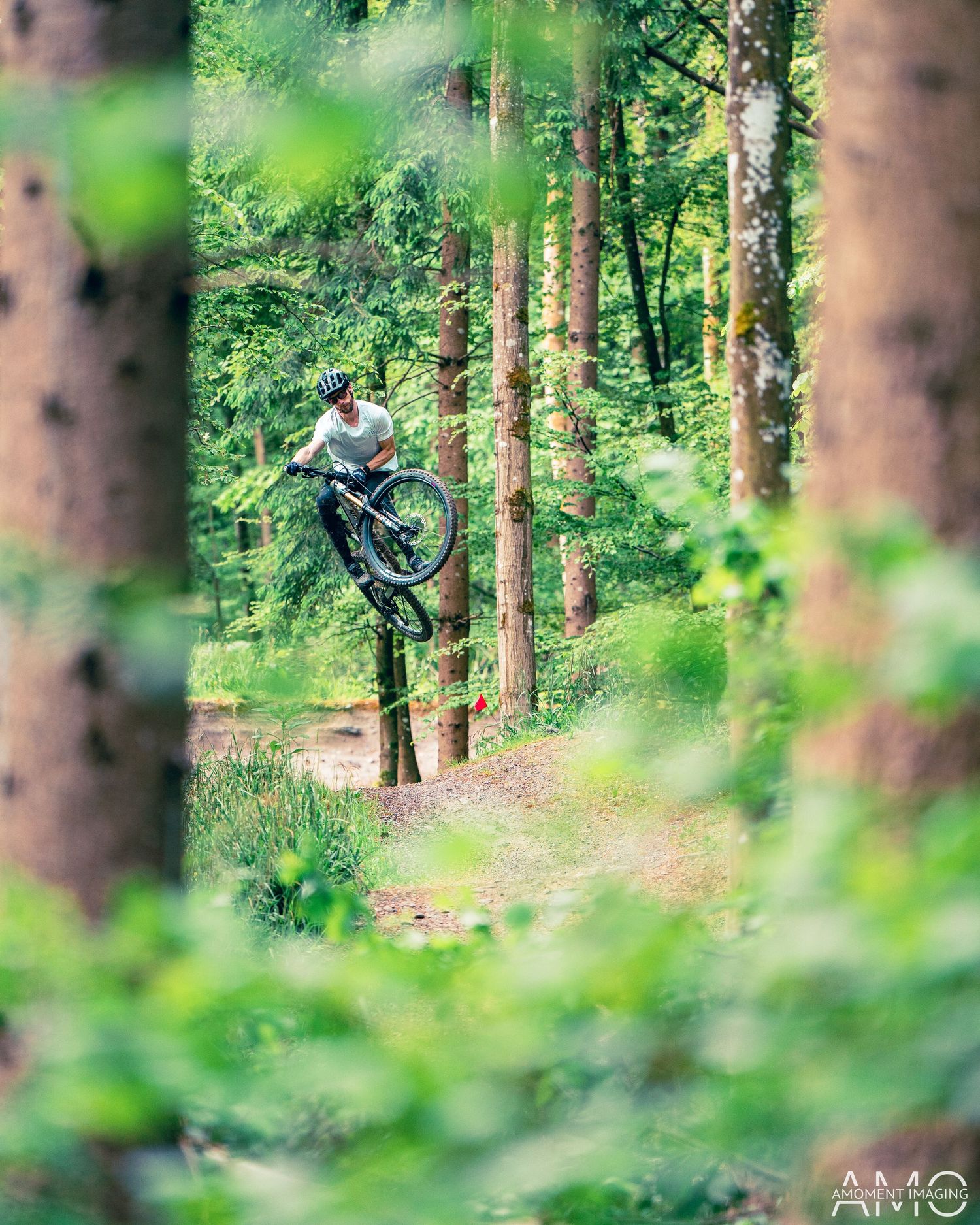 Mountain biker performs impressive aerial jump between trees on a forest trail.