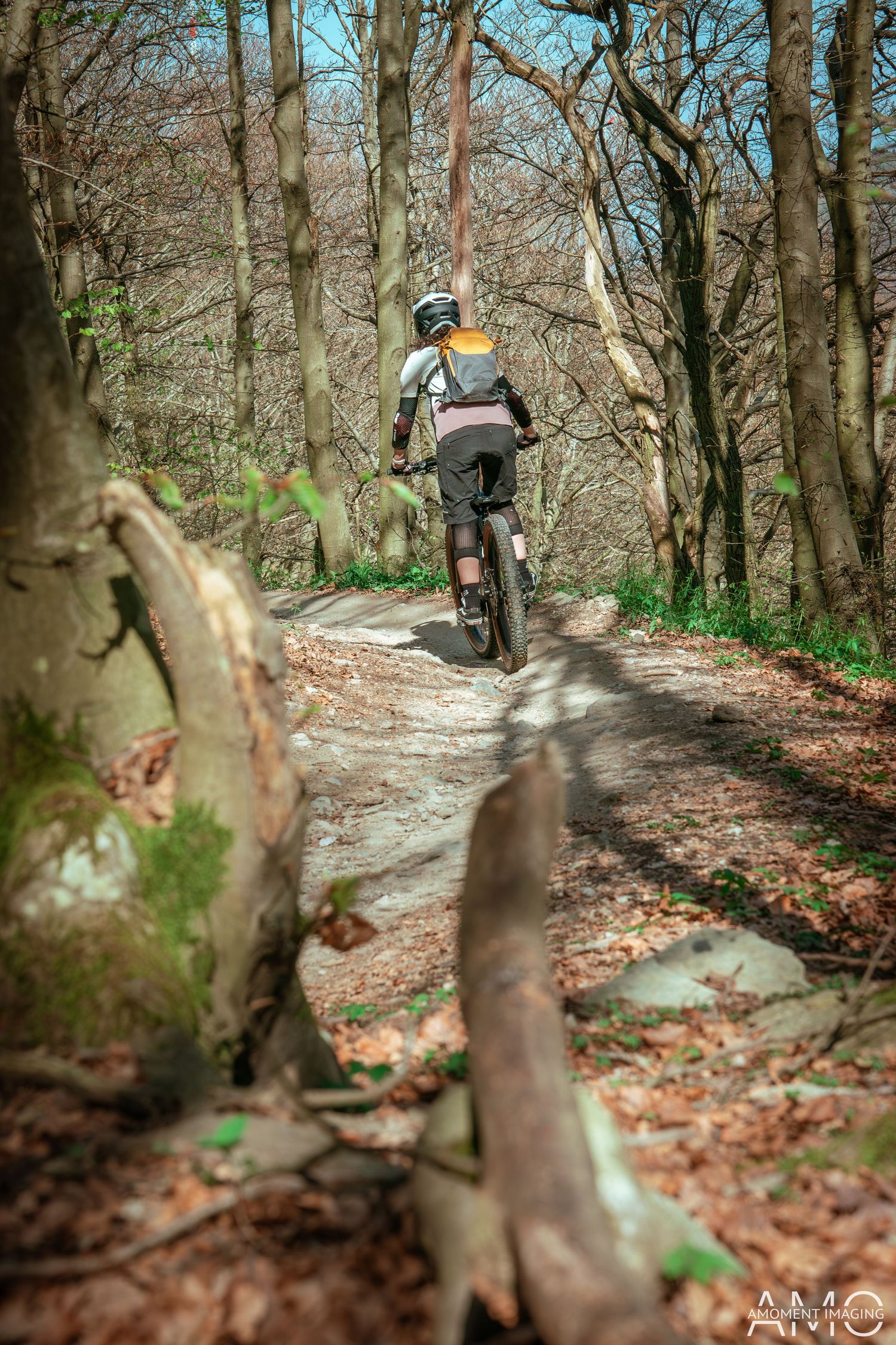 Mountain biker navigates a technical forest trail with exposed roots and rocks on a sunny day.