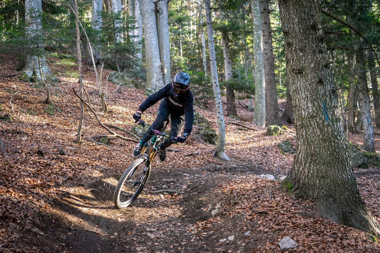 Mountain biker performing a jump on a steep woodland trail between trees.