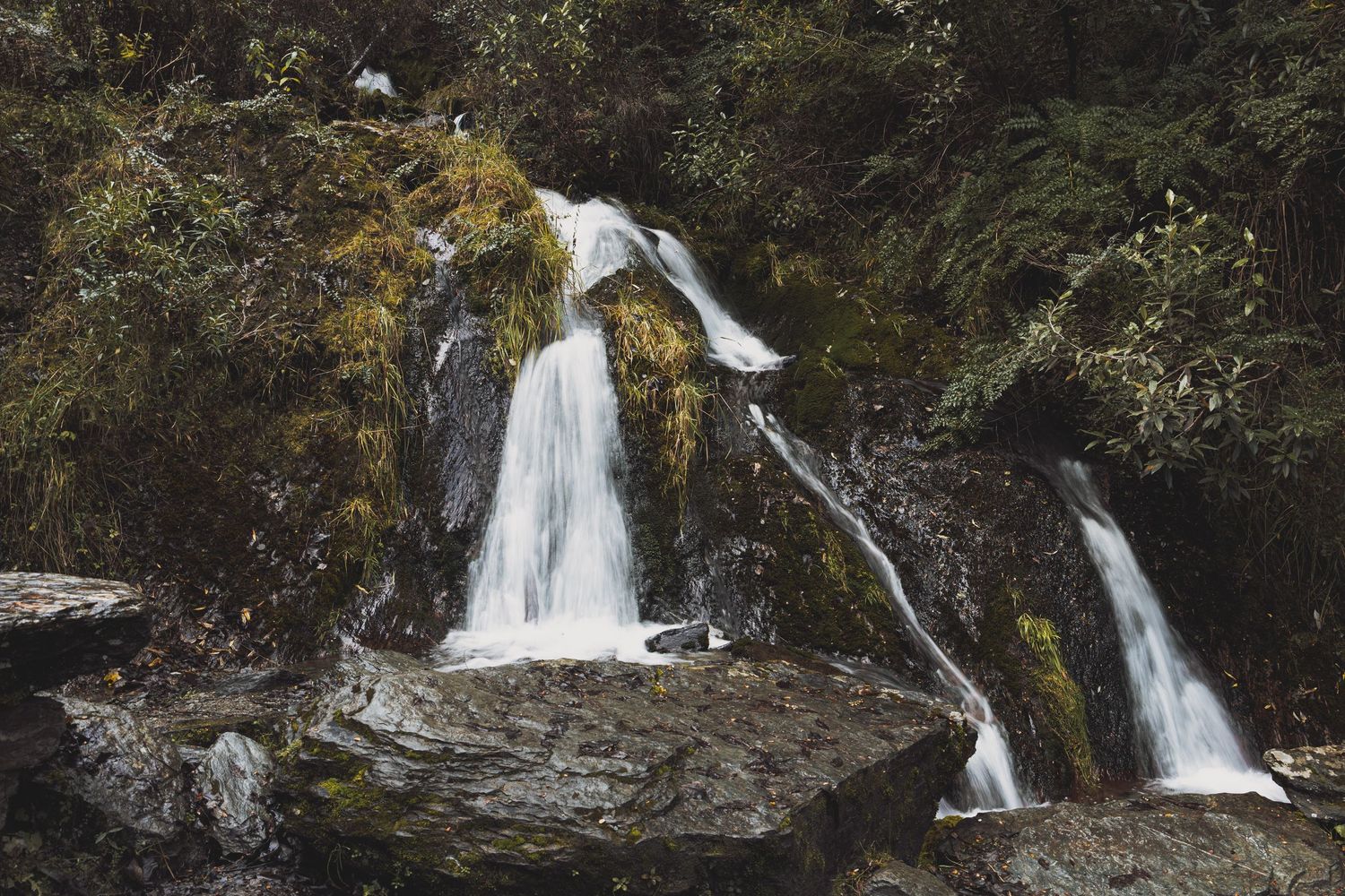 Two cascading waterfalls flow over mossy rocks surrounded by lush green forest vegetation in a serene natural setting.