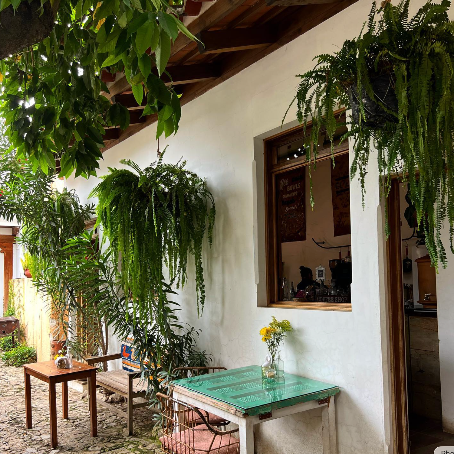 Charming outdoor cafe patio with lush hanging ferns, white stucco walls, and a turquoise table with yellow flowers.