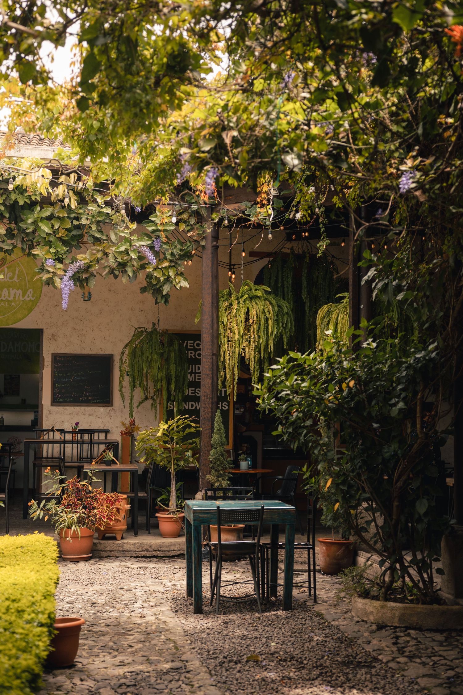 Charming outdoor cafe patio with green metal table, chairs, lush climbing plants, string lights, and cobblestone path.