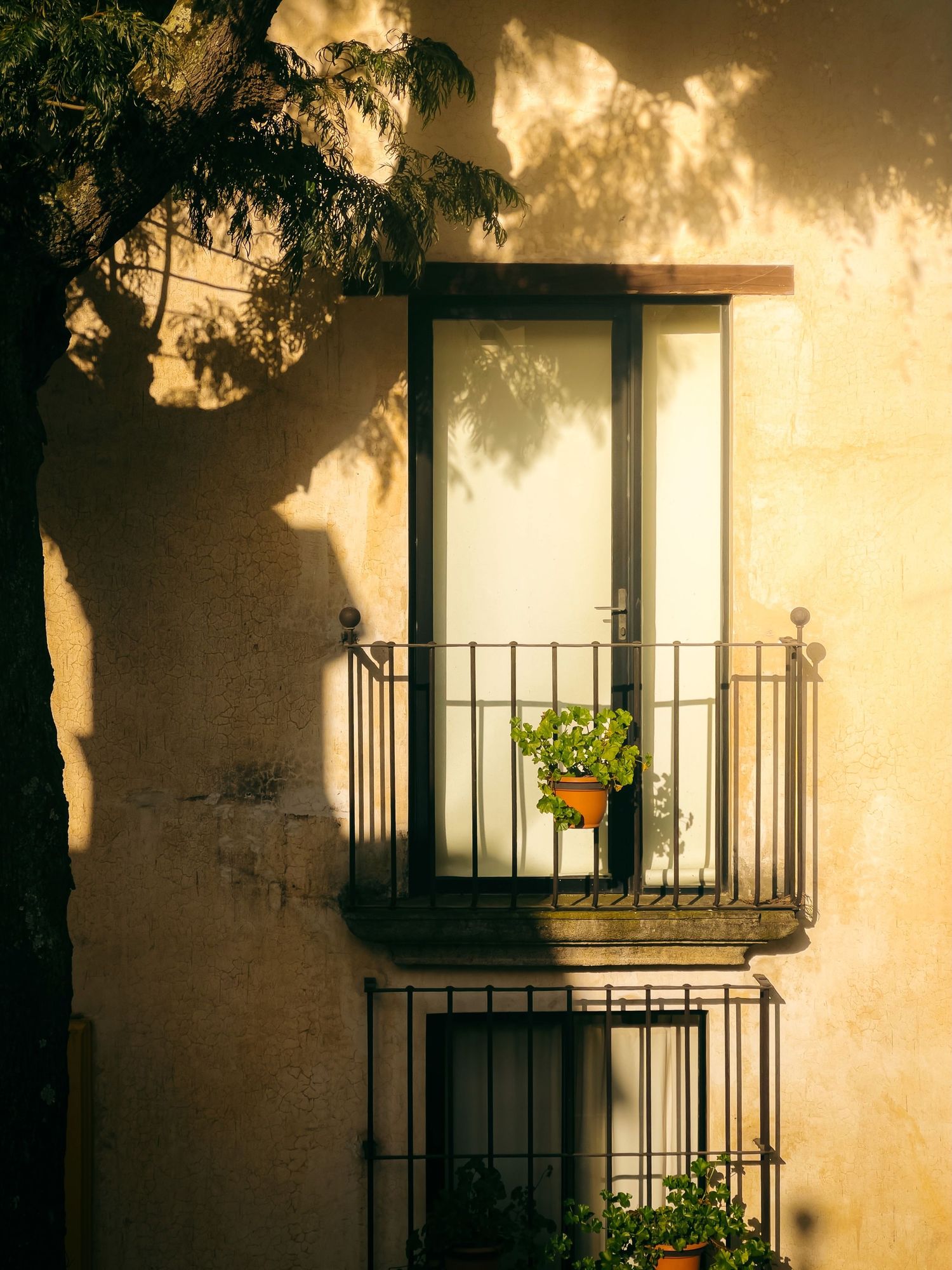 Sunlit Mediterranean building facade with iron balconies, potted green plants, and tree shadows on warm beige stucco wall.