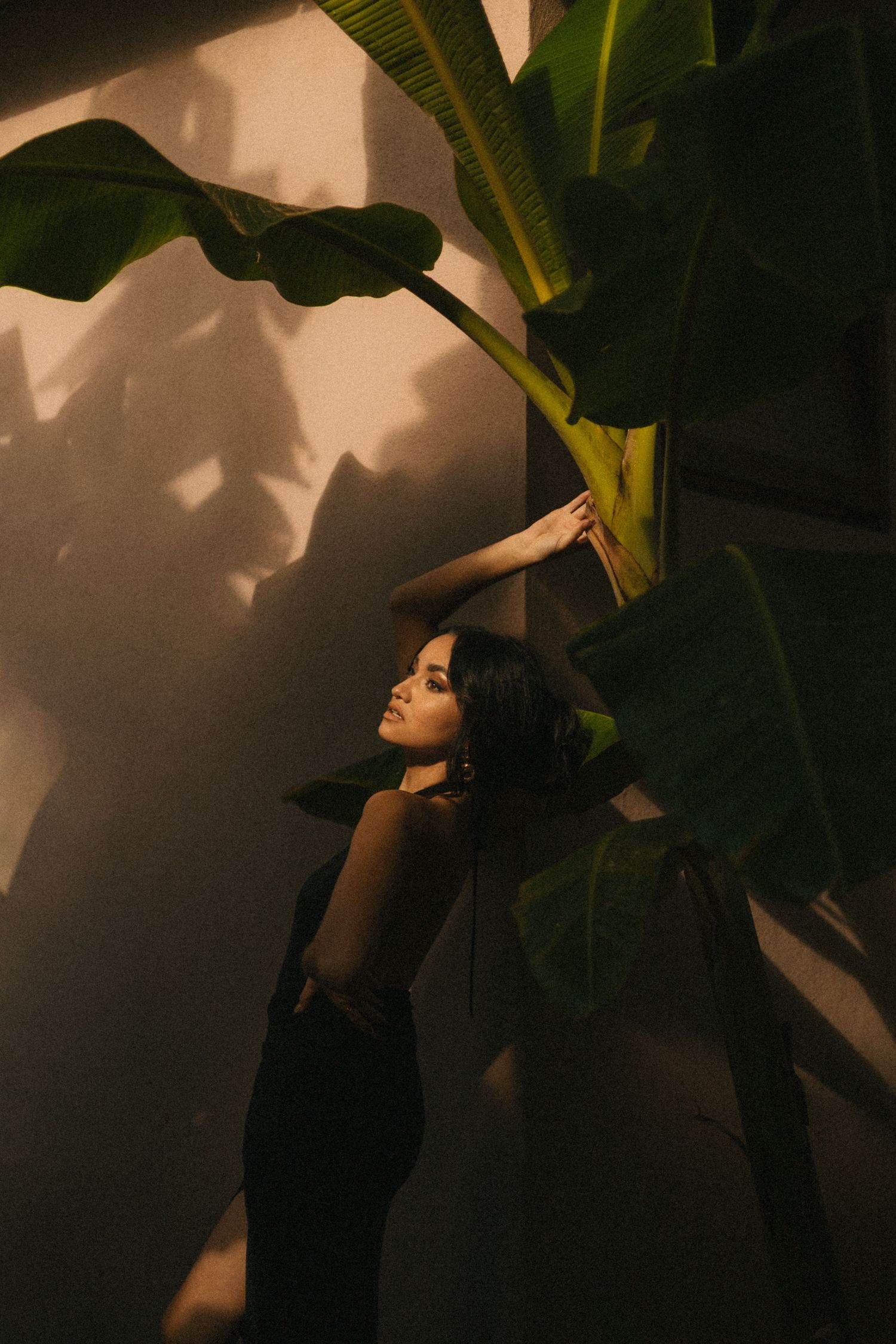 Woman in black dress poses gracefully beside large tropical banana leaves in dramatic warm shadow light.