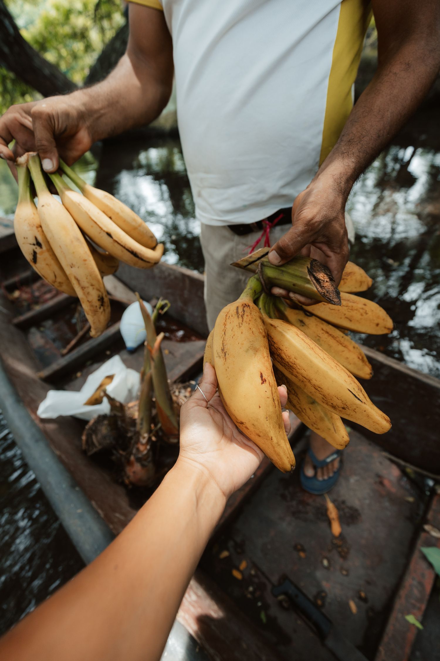 Hands exchanging fresh yellow bananas on a wooden boat surrounded by tropical water.