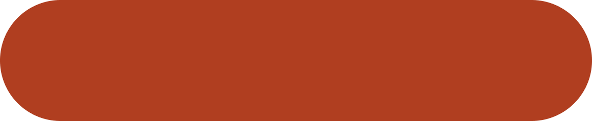 Solid terracotta orange rounded rectangle shape on a plain background.
