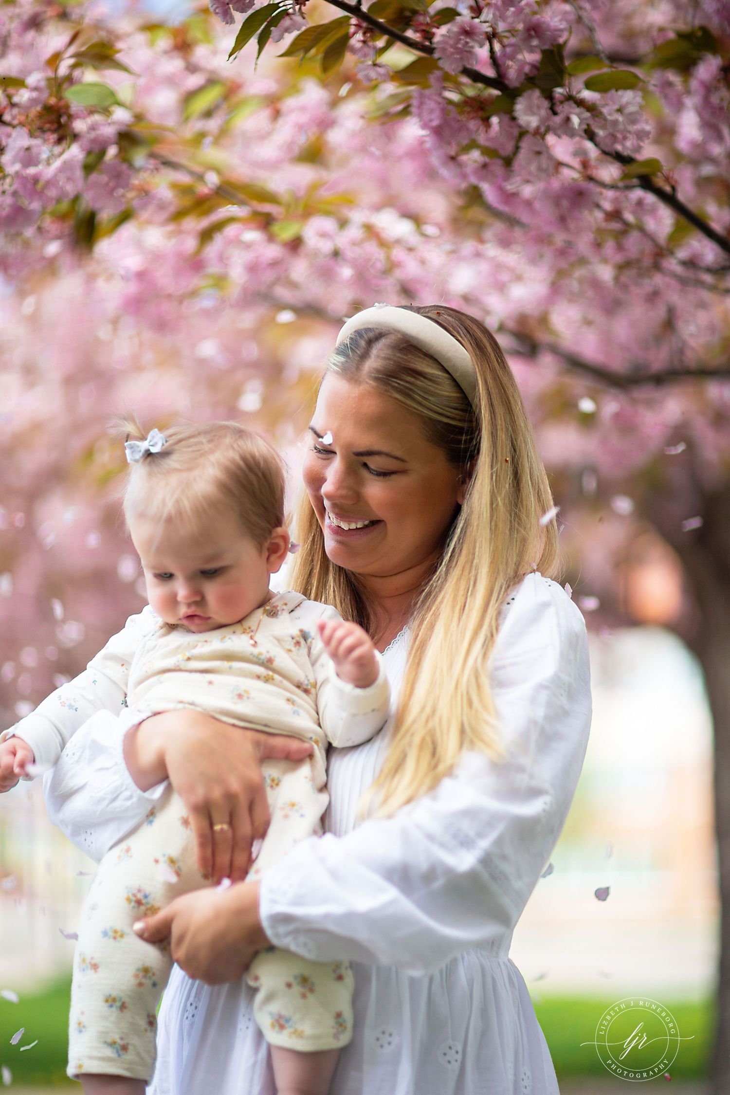 Gravidfotografering i Strängnäs på sommaren i körsbärsblomning