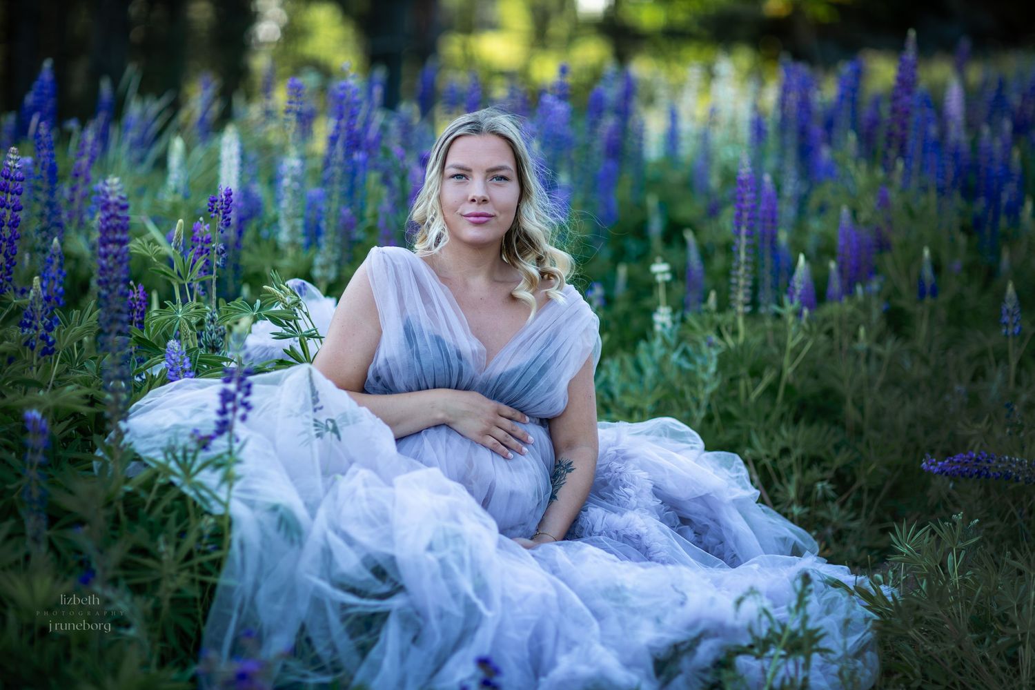 Pregnant woman in blue tulle maternity dress sitting serenely among purple lupine wildflowers.