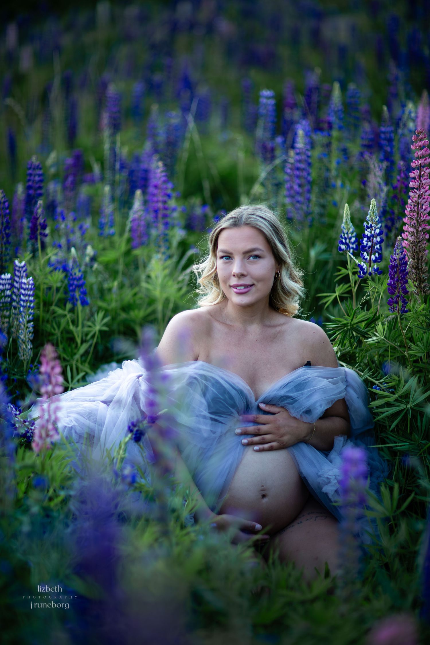 Gravidfotografering i lupinfält / blommor