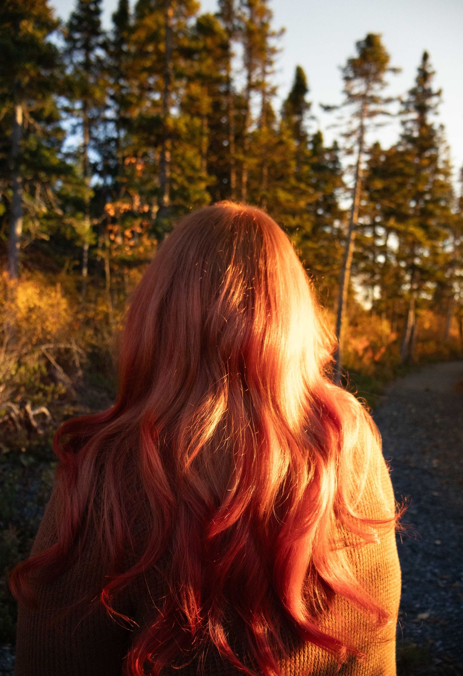 red hair at golden hour