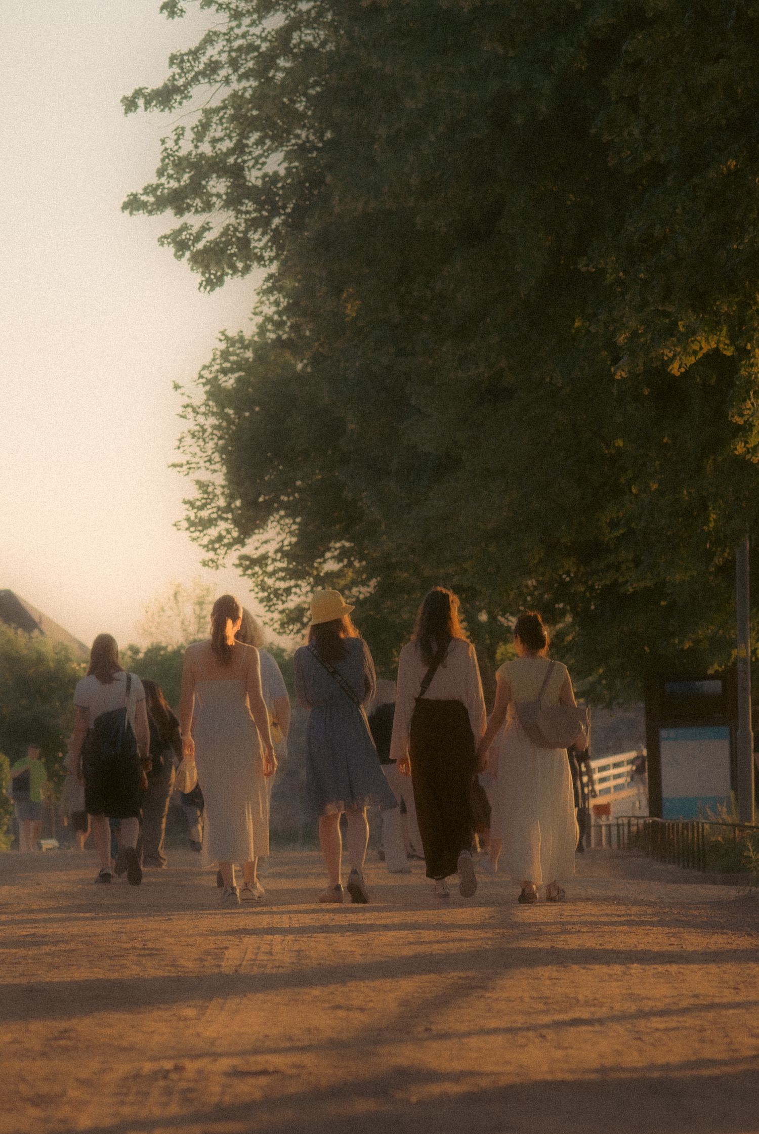 Group of women walking together along a tree-lined path during golden hour sunset.