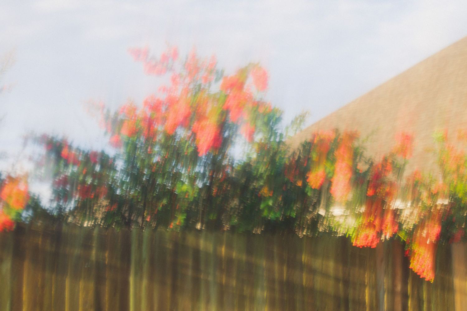 Blurry abstract photo of colorful autumn trees with red and orange foliage behind a wooden fence.