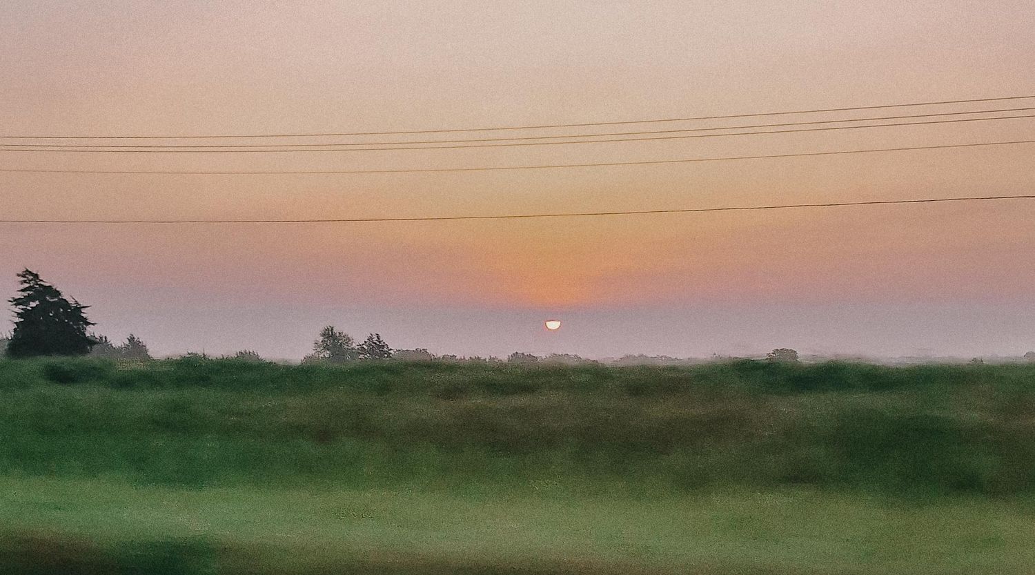 Scenic sunset view over lush green meadow with utility poles against a soft pastel sky.