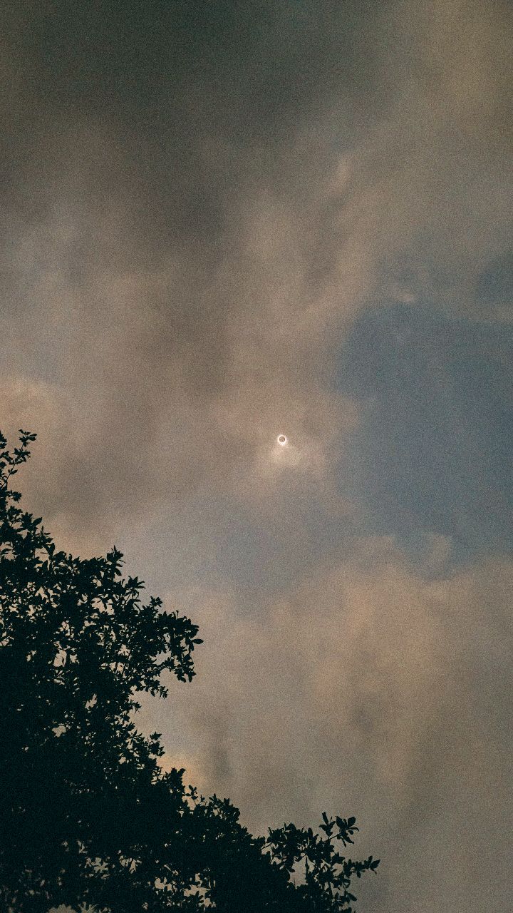 Solar eclipse partially visible through dramatic cloudy sky above silhouetted trees.