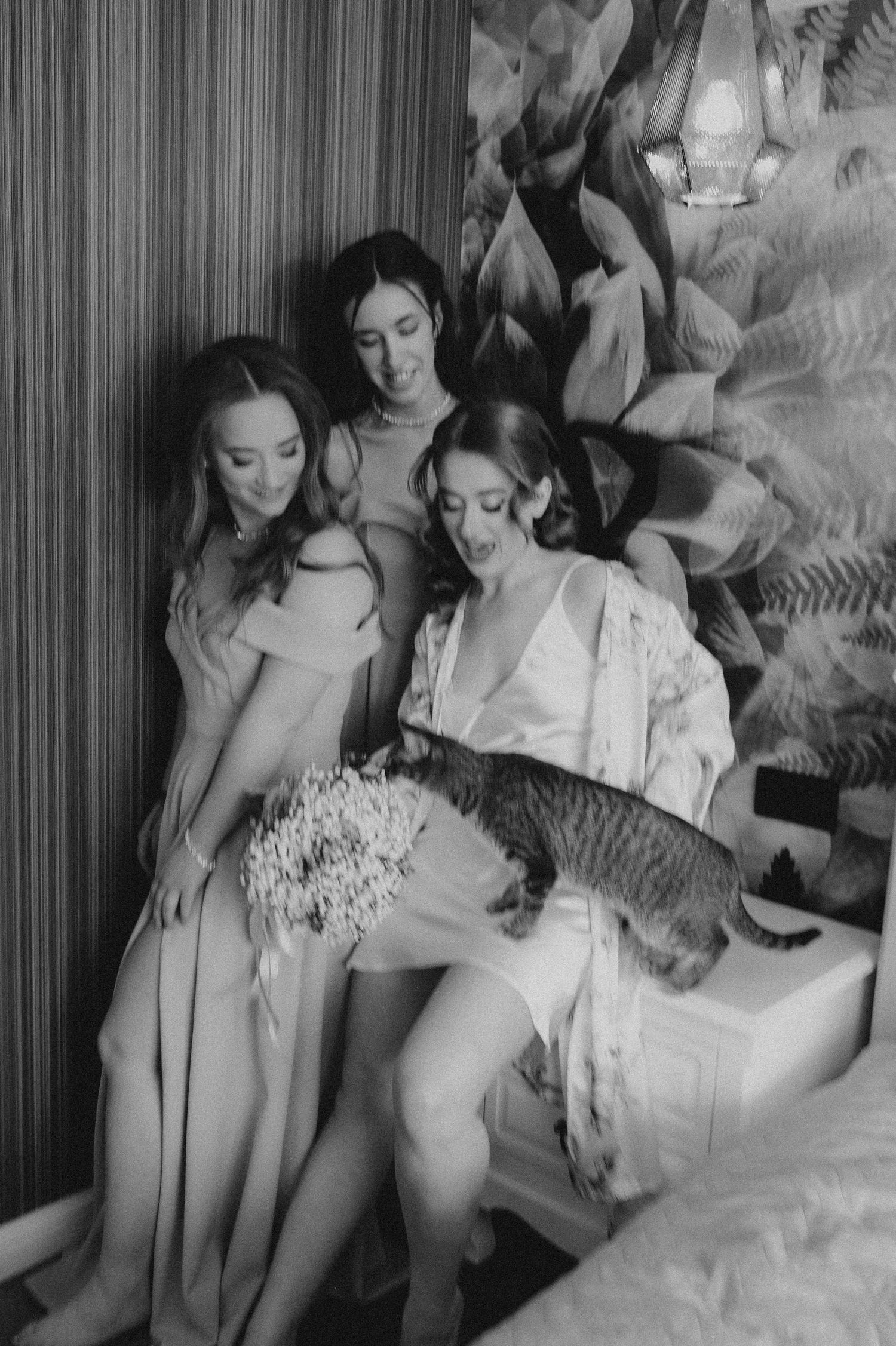 Three women in elegant dresses smile while petting a cat, captured in a black and white wedding preparation photo.