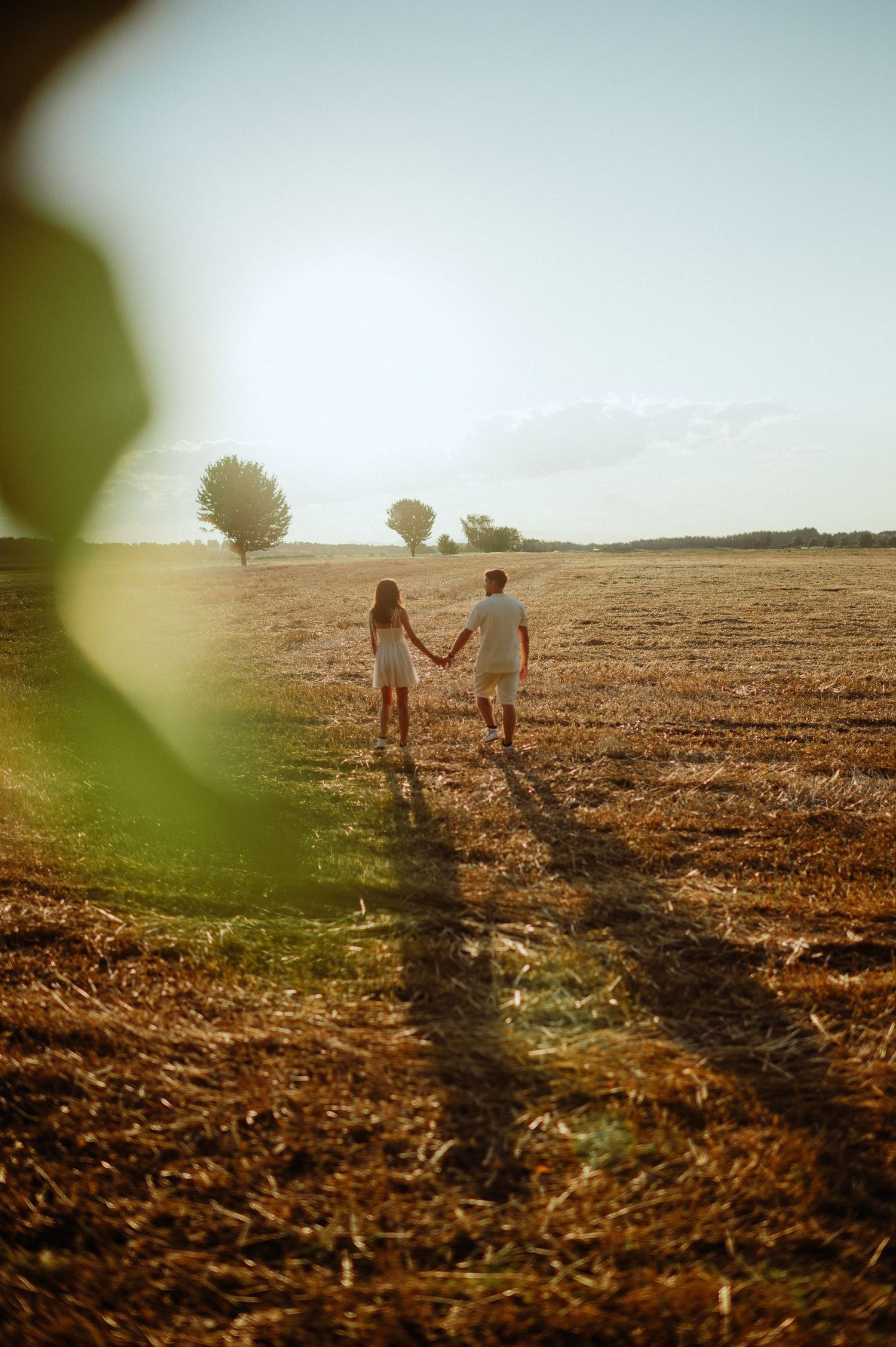 Couple holding hands walking through a golden harvested field at sunset.