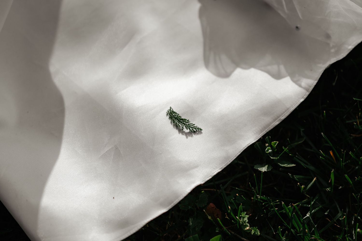 Small green pine sprig resting on white bridal gown fabric against grass background.