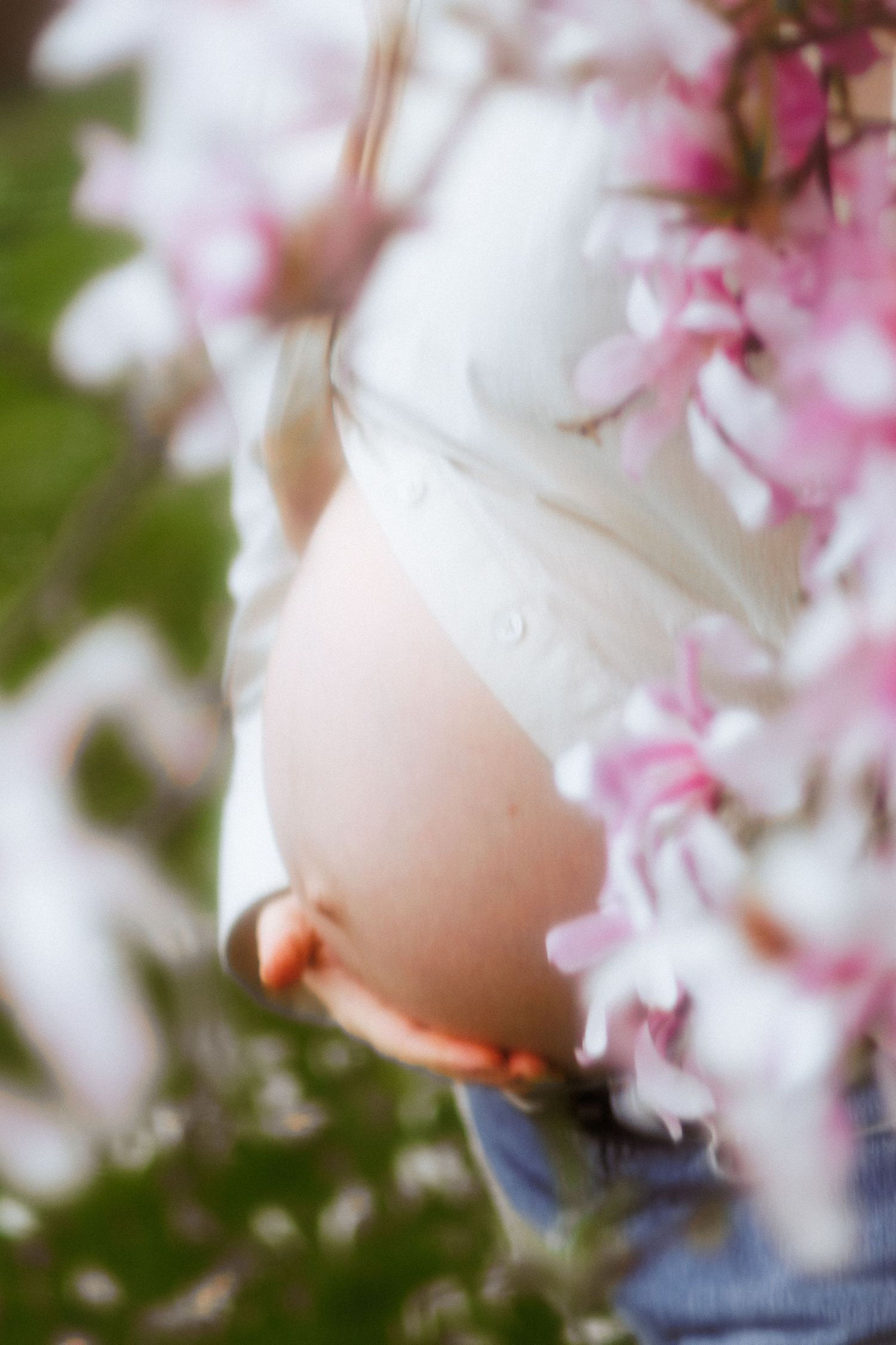 Soft focus close up of pregnant belly surrounded by pink magnolia flowers in bloom.
