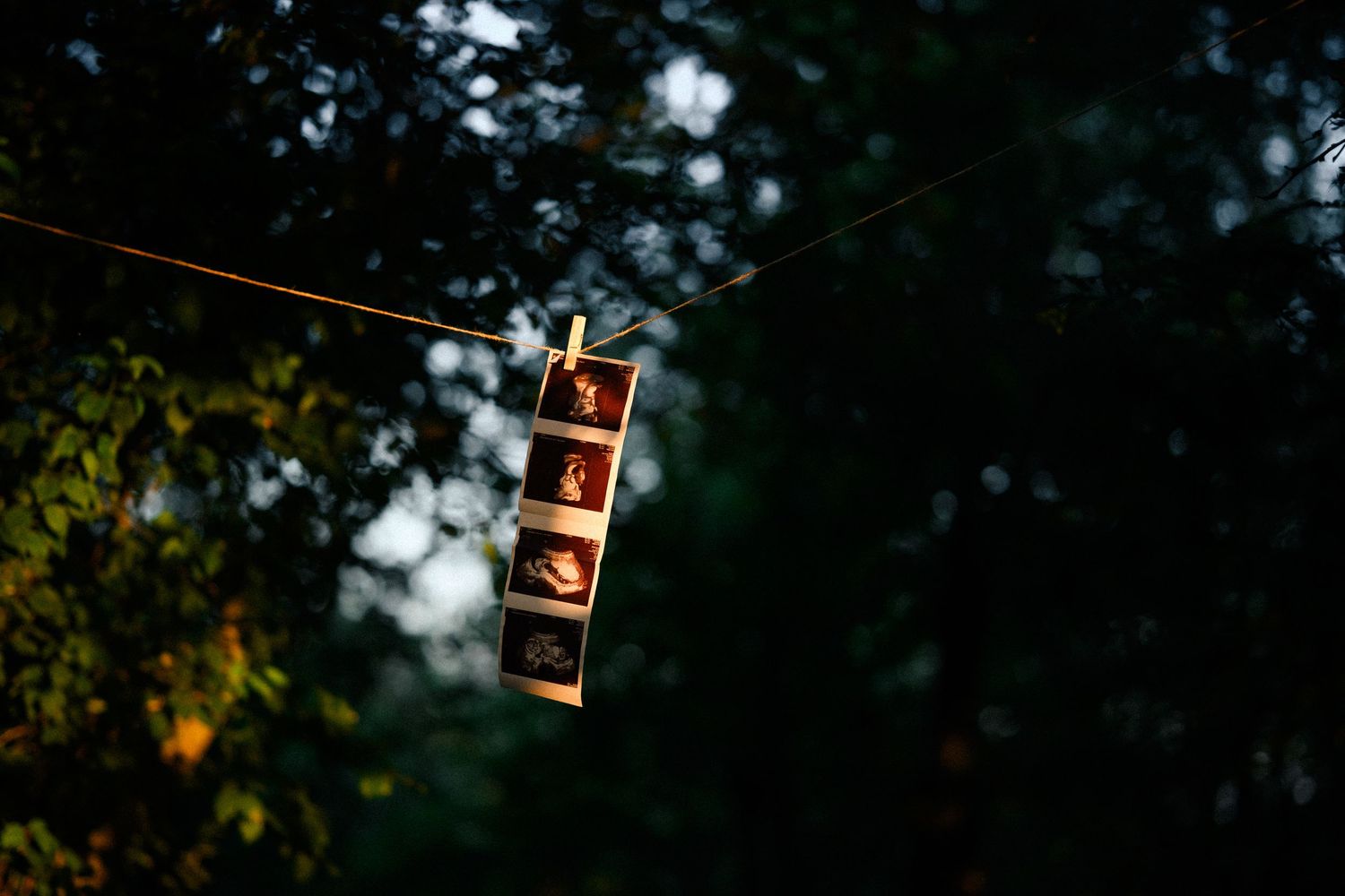 Film strip photo negatives hanging on a clothesline wire outdoors with blurred green trees in the background.