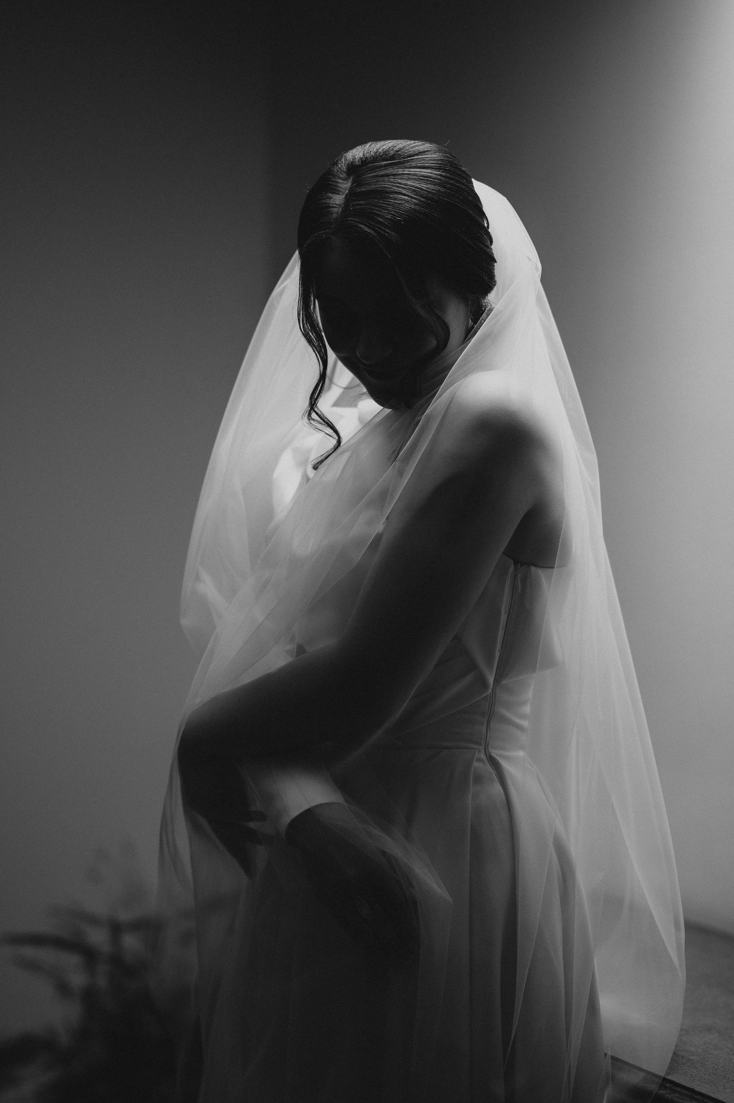 Bride in white wedding gown and veil captured in artistic black and white silhouette portrait.
