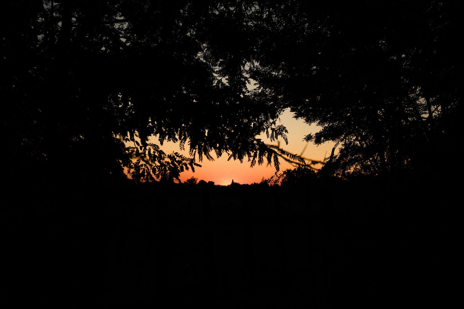 Silhouetted trees frame a vibrant orange and red sunset sky in a dramatic dusk landscape photo.