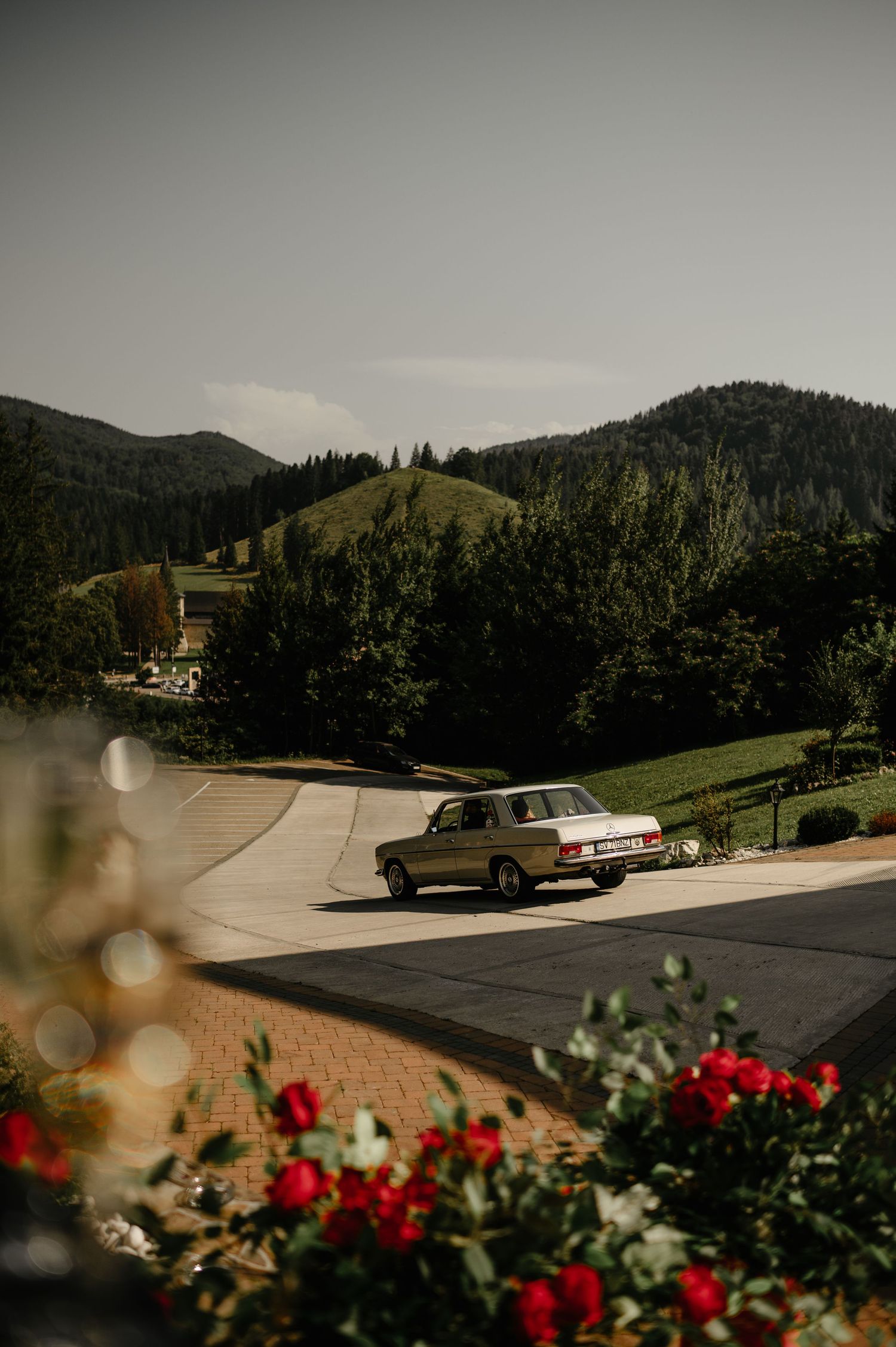 Vintage white car drives past red roses with scenic green mountain landscape at a Romanian wedding venue.
